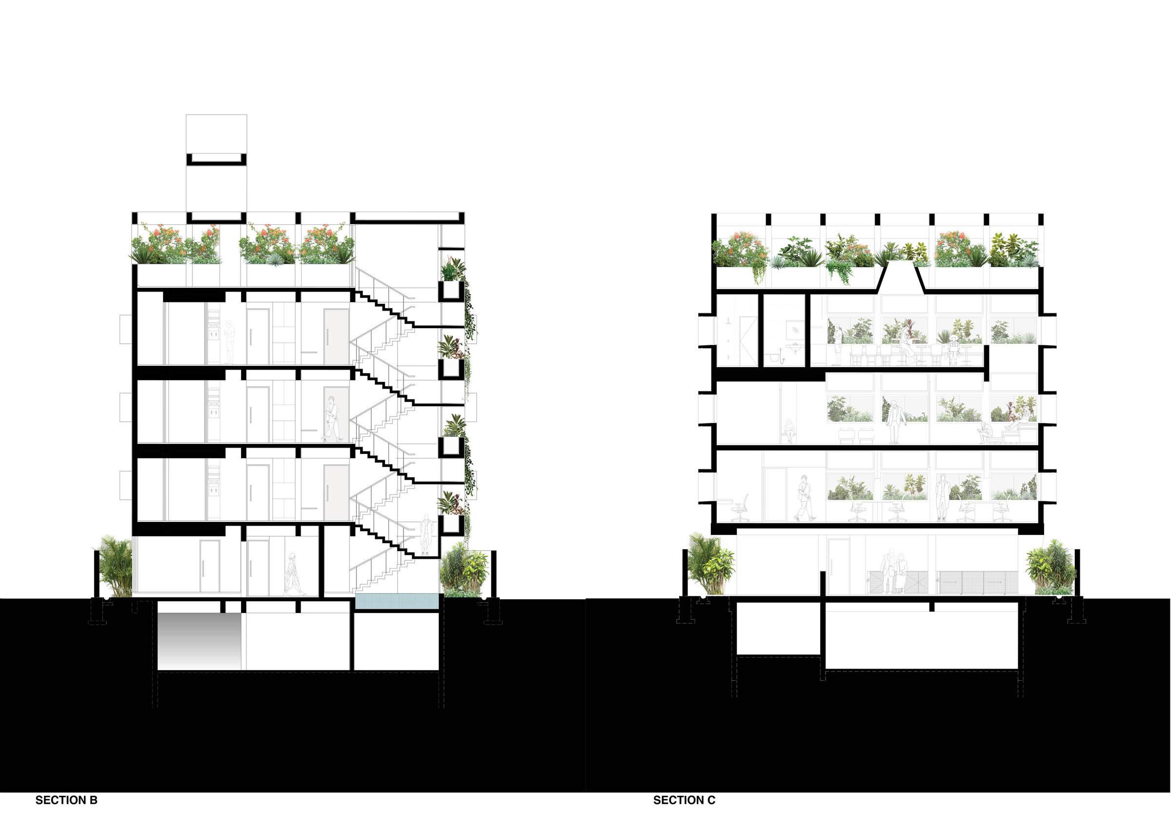 section