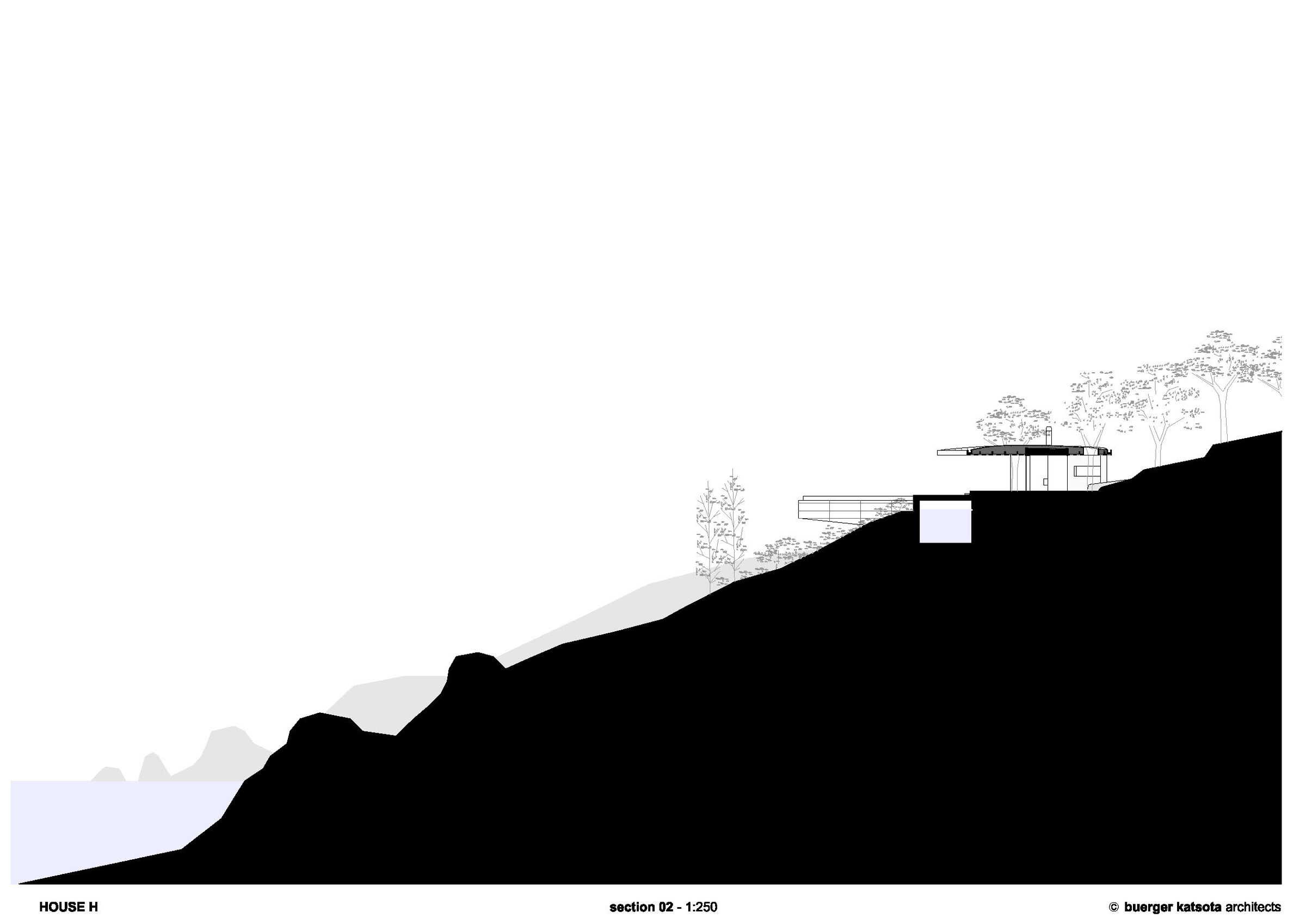 section
