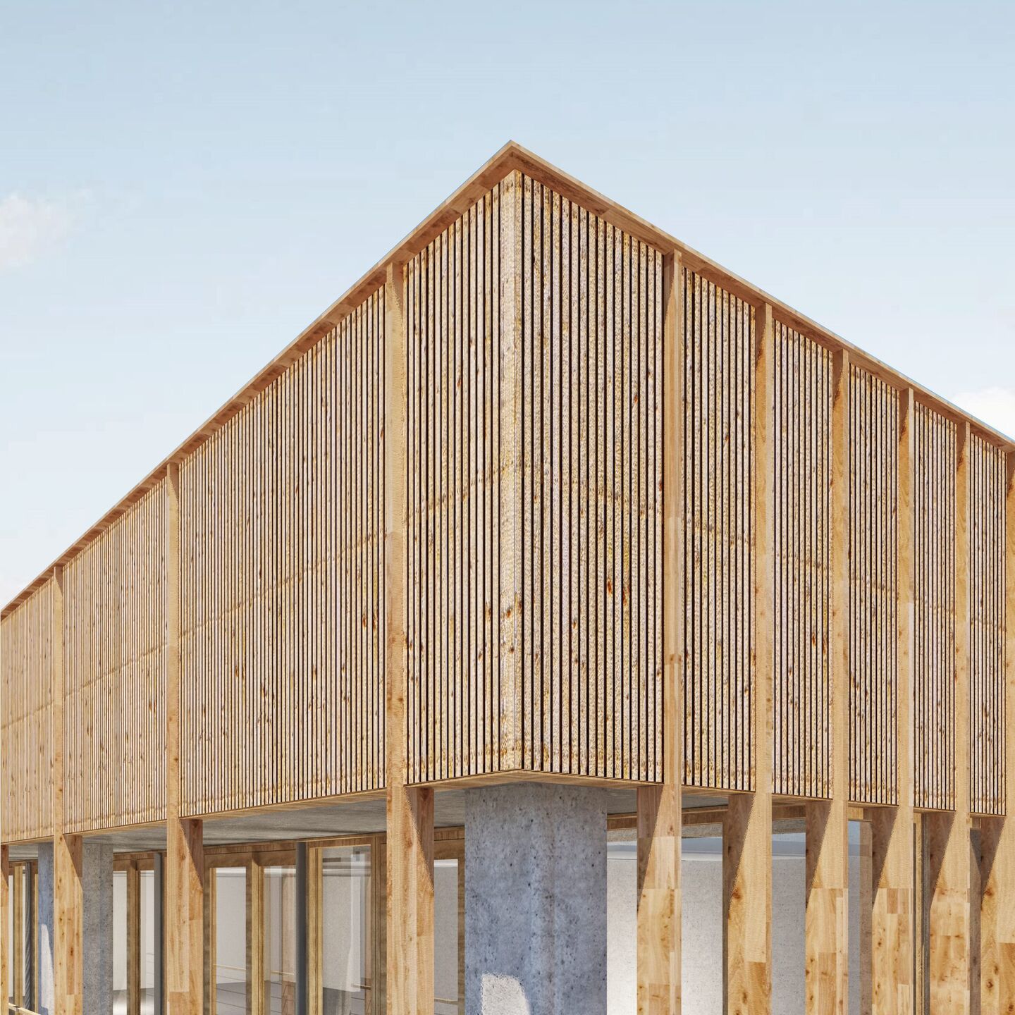 Timber facade detail