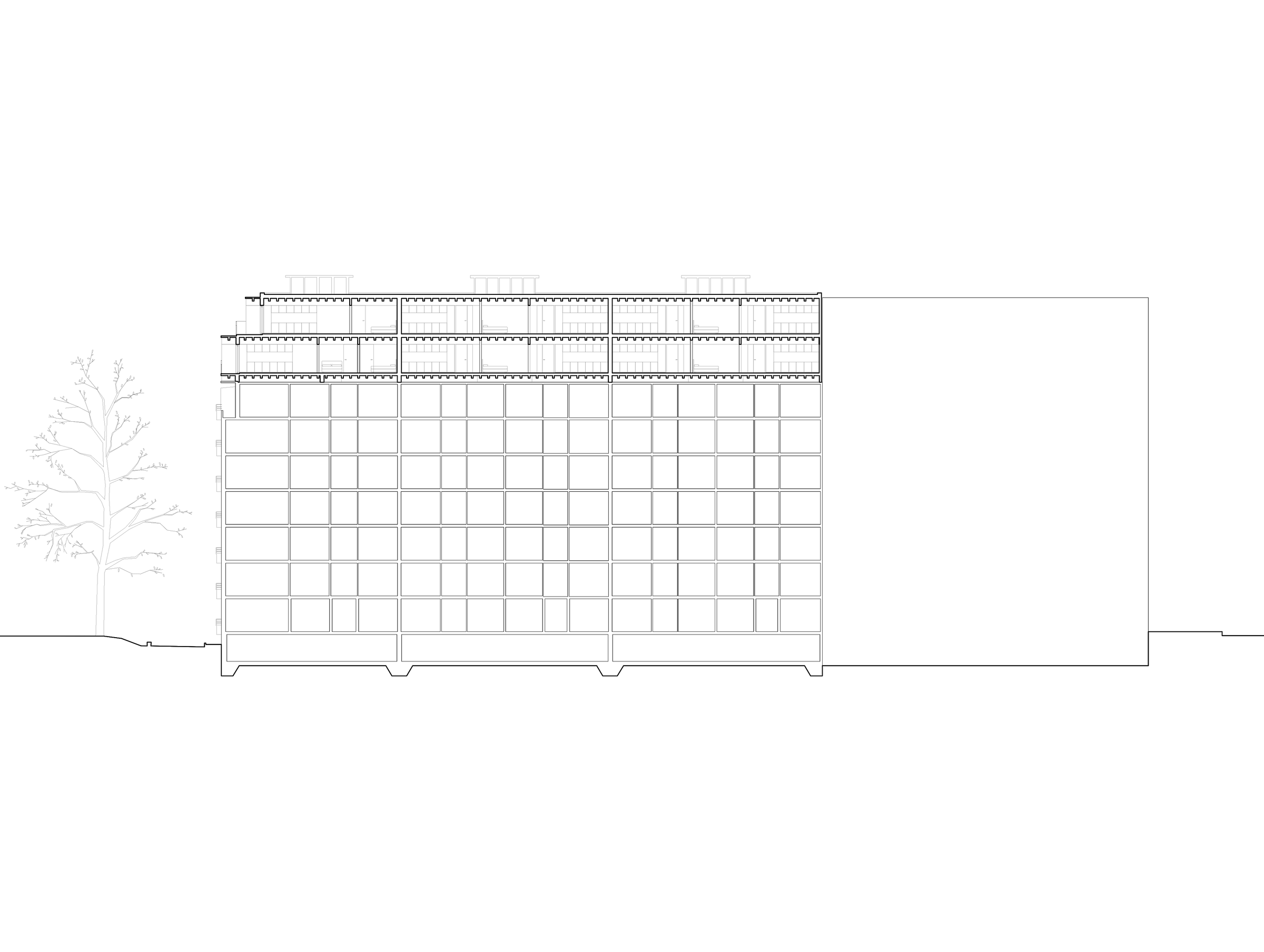 Longitudinal section