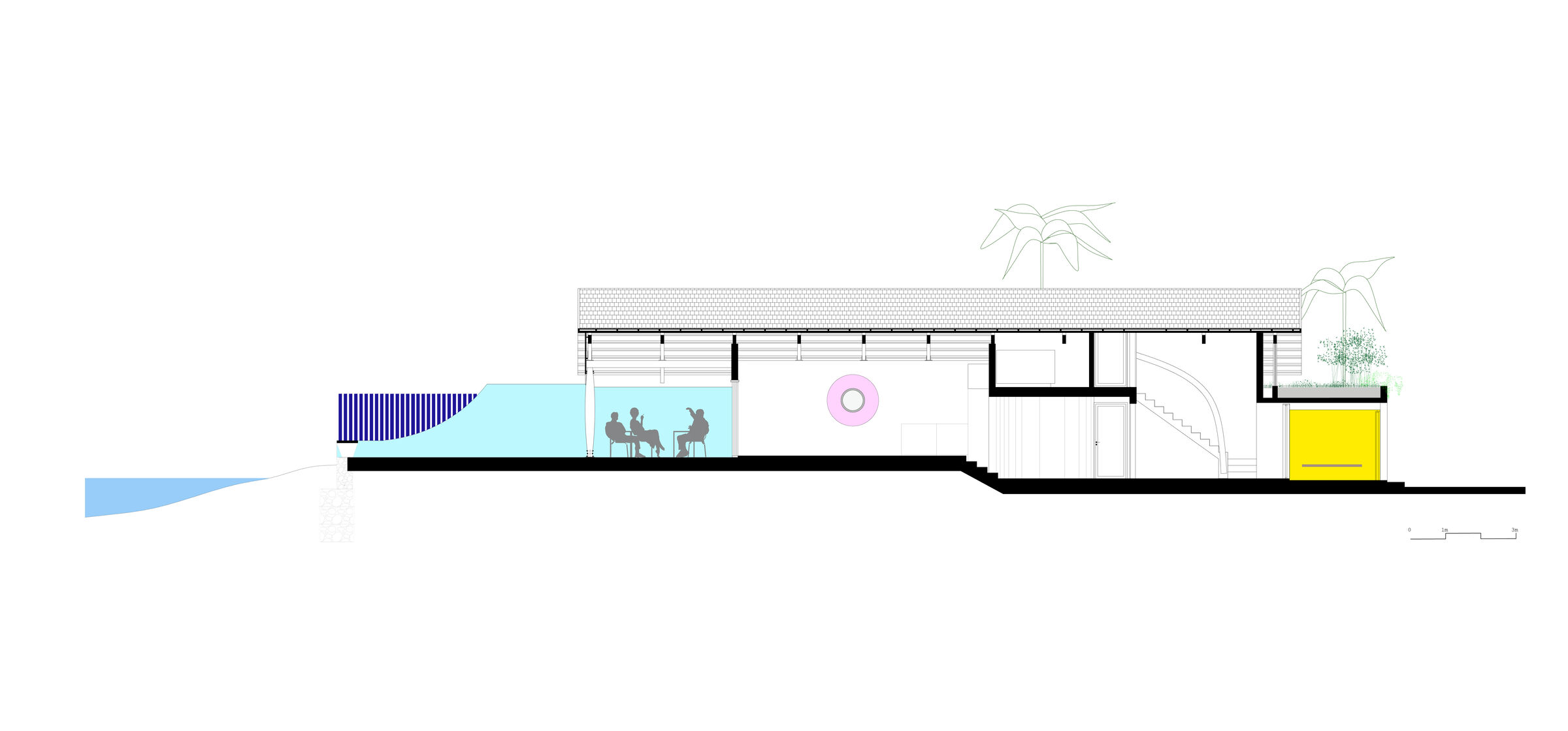 Longitudinal section