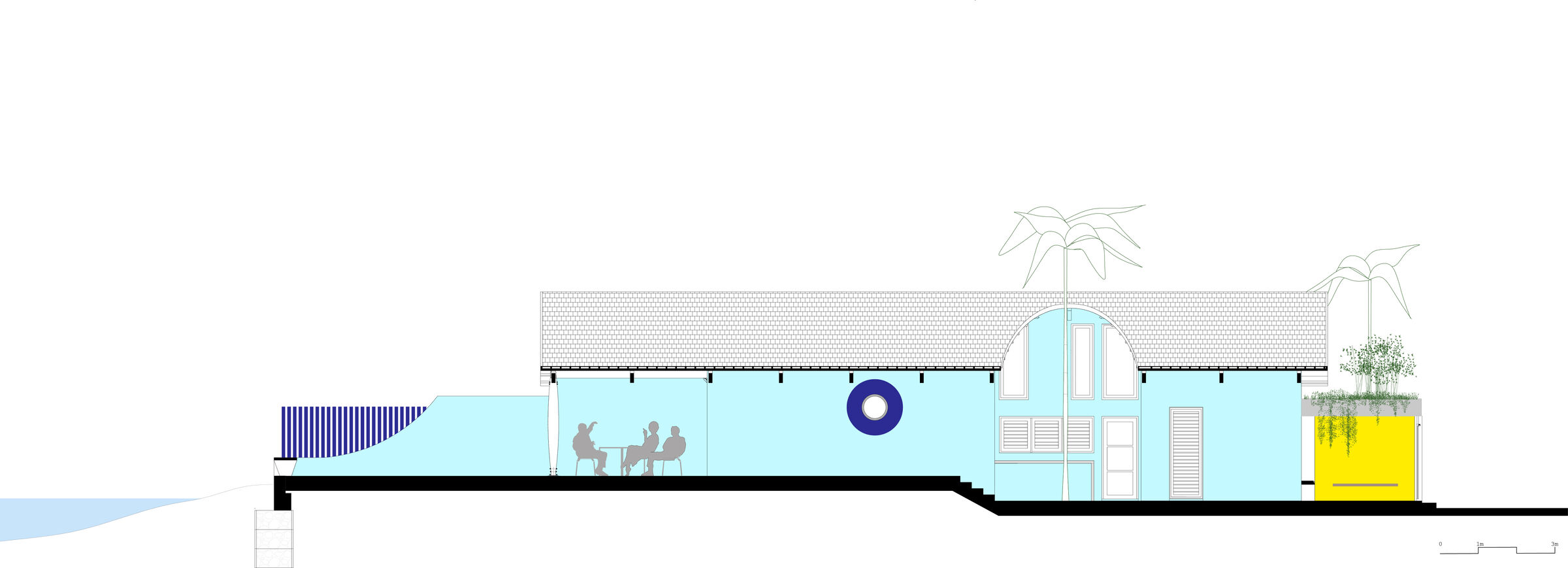 Longitudinal Section 2