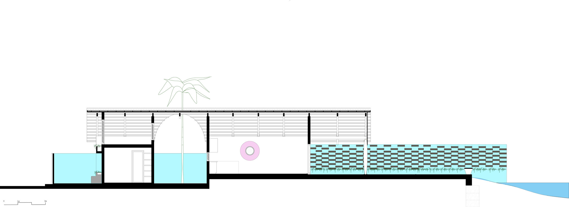 Longitudinal Section 3