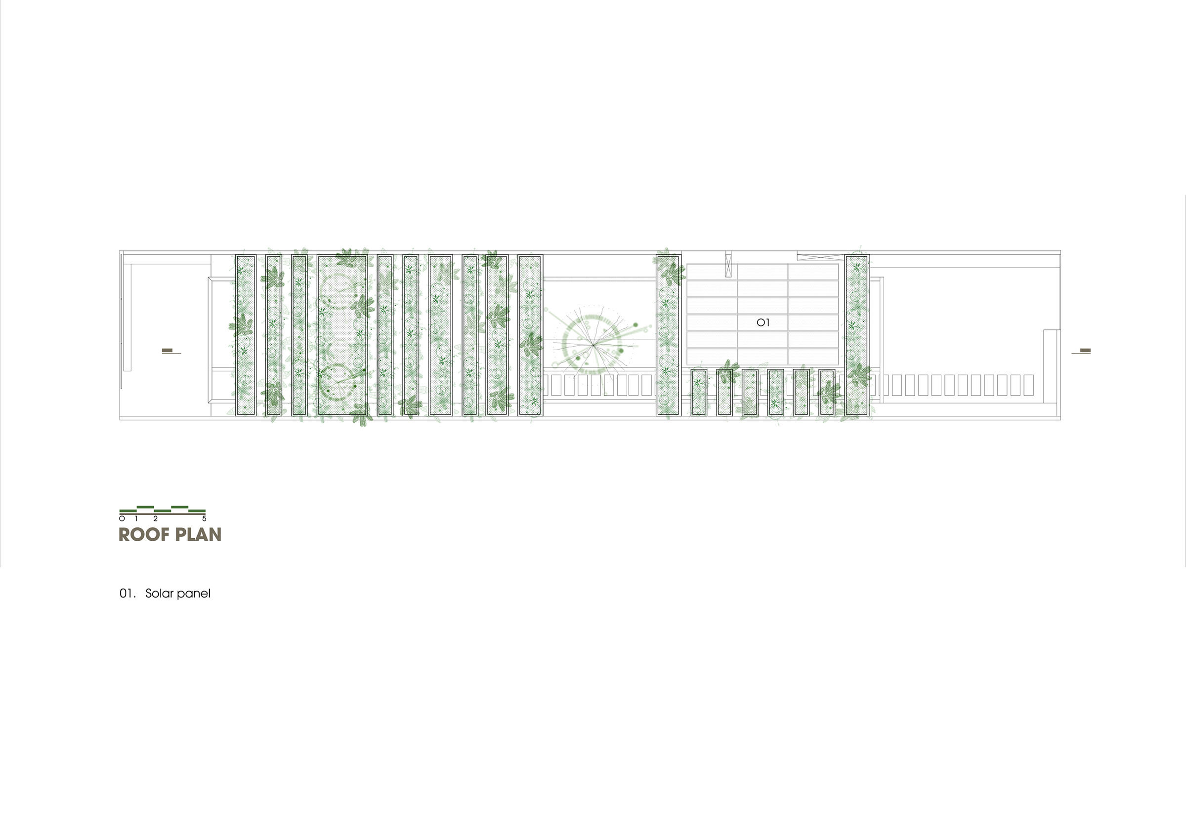 Roof Plan