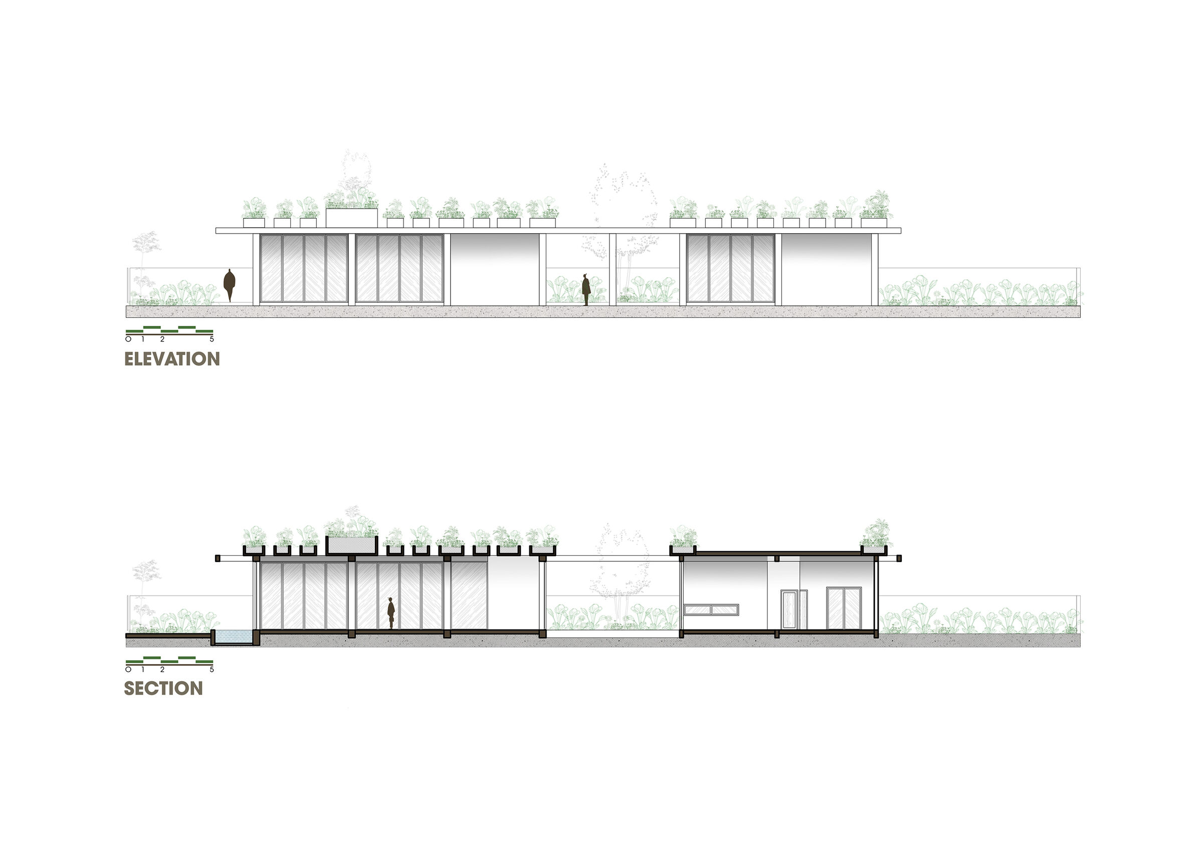 Section