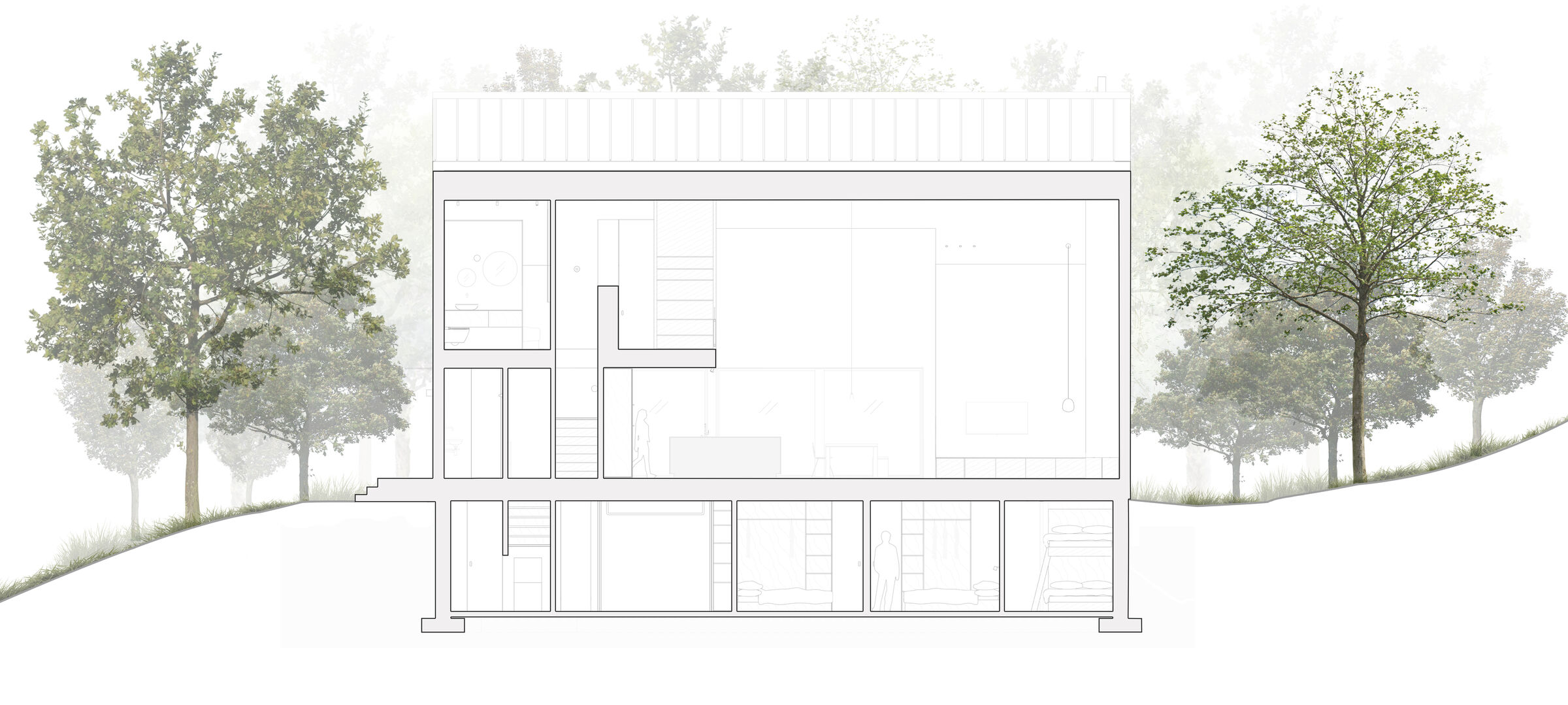 Longitudinal Section - North