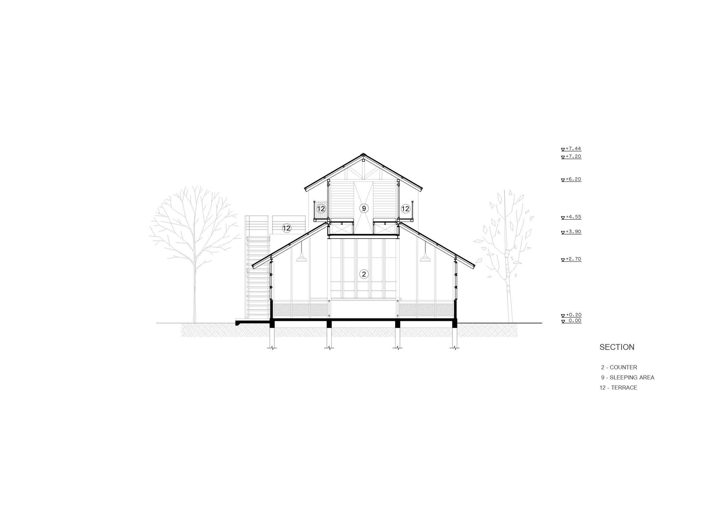 section