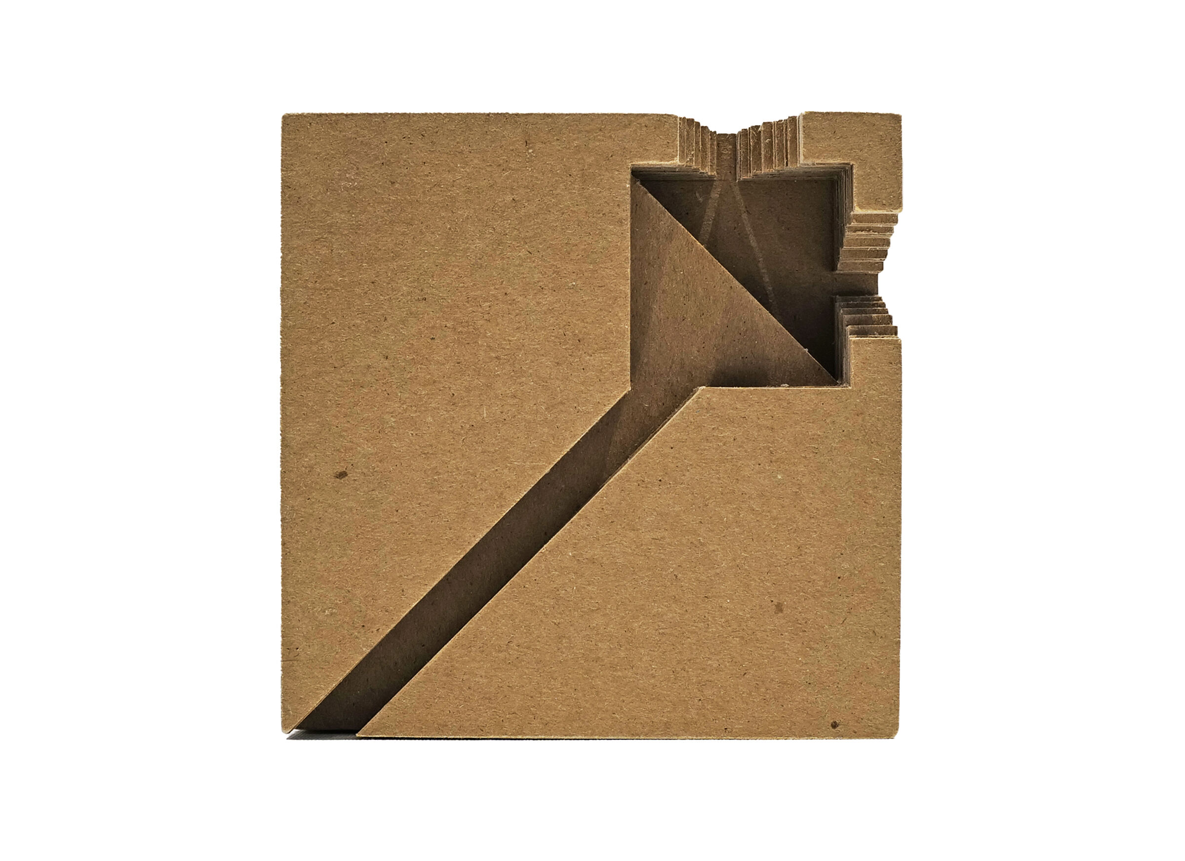Study Model