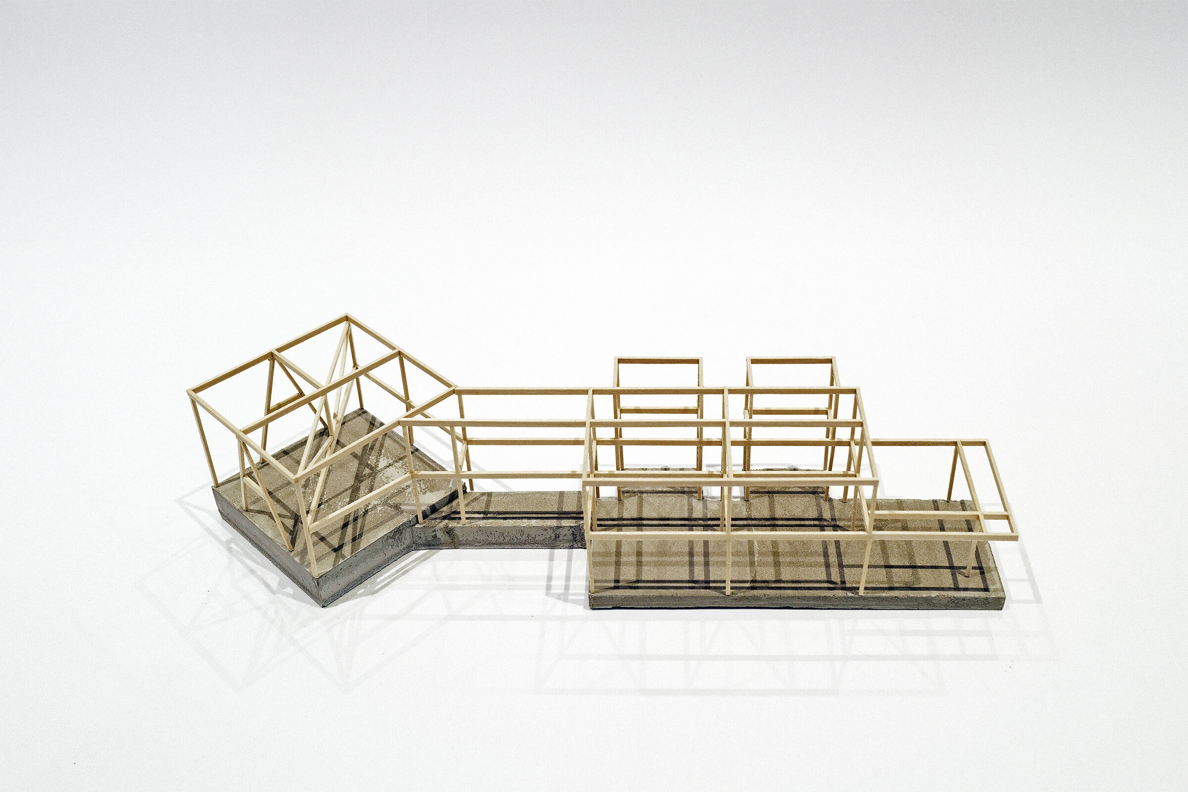 Study Model