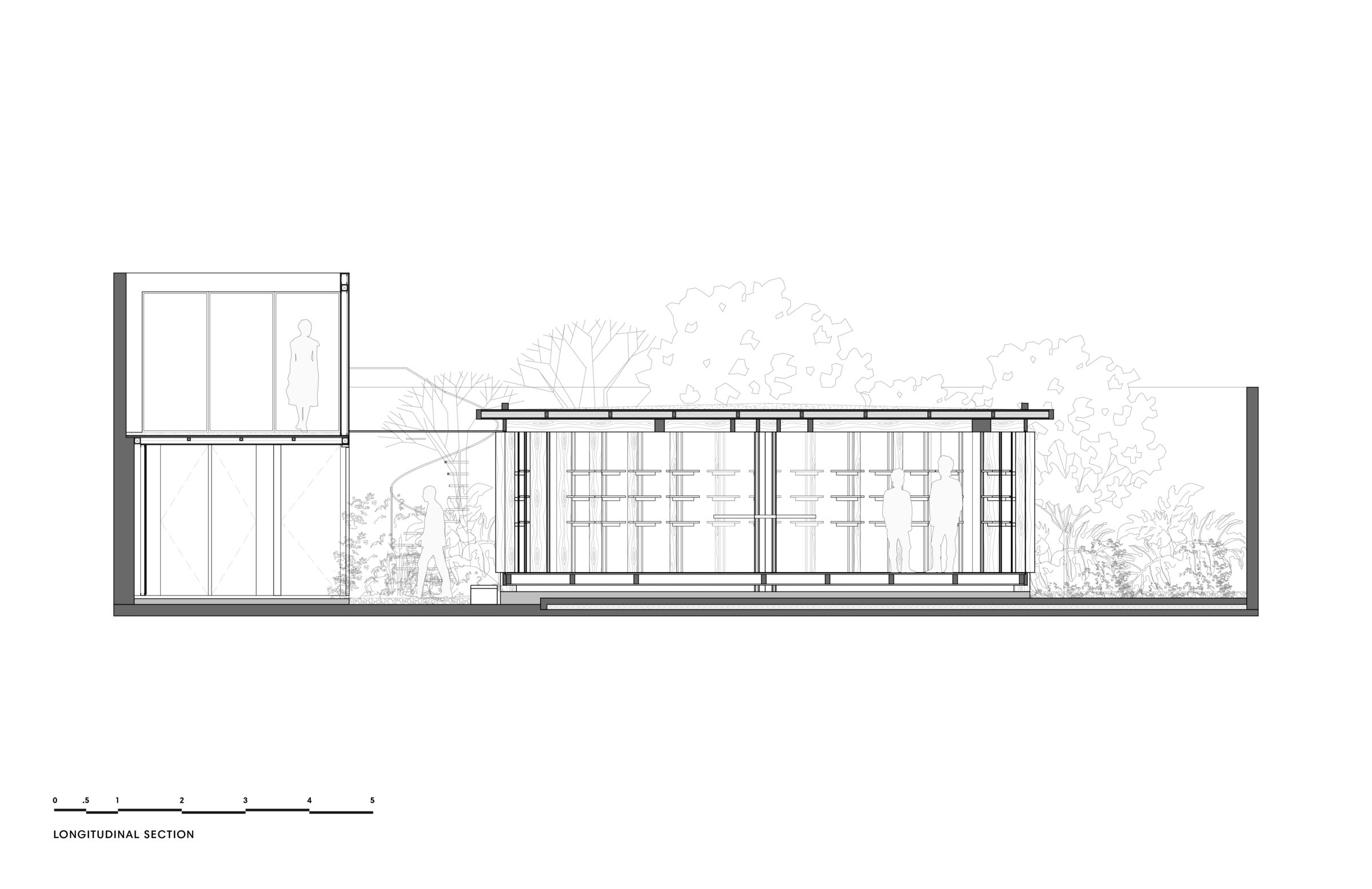Longitudinal section