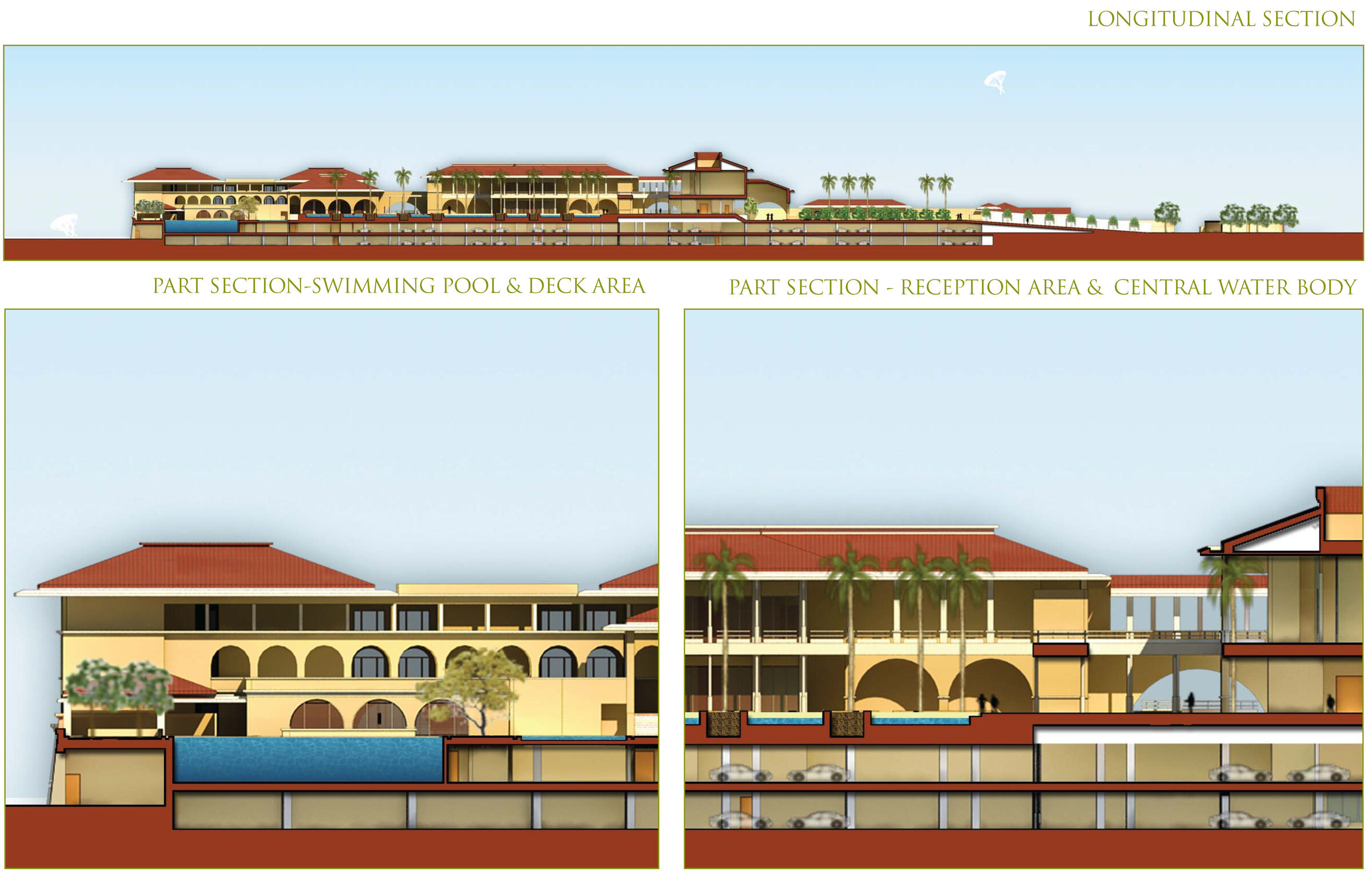 Longitudinal Sections