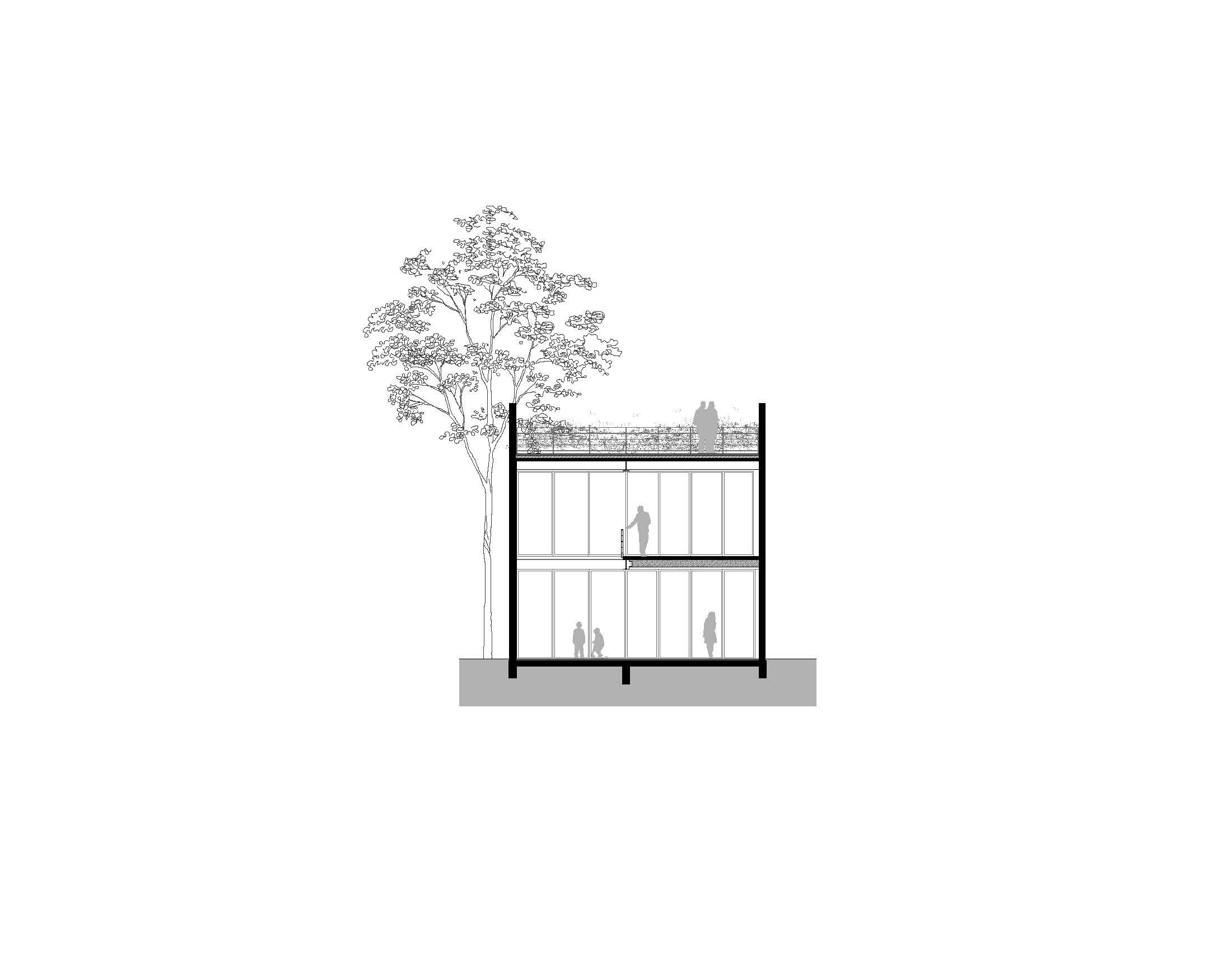Section Casa Fernandez Leal_Osmany Ramirez  Estudio de Arquitectura