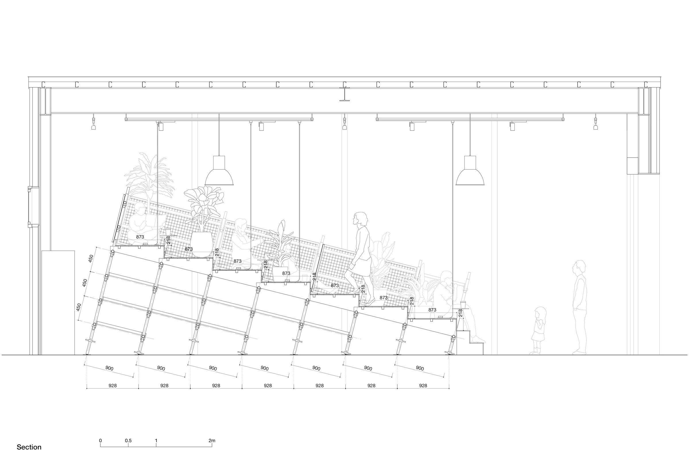 section