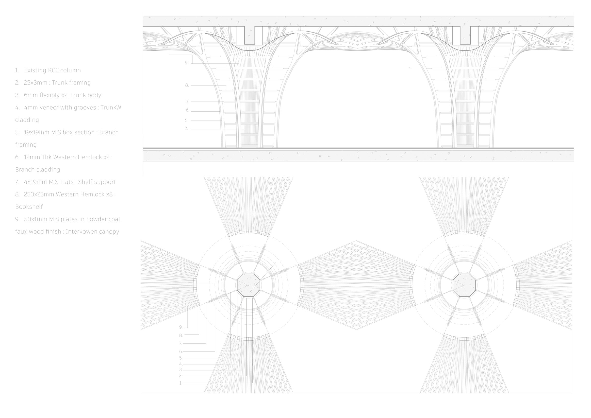 Plan + Elevation