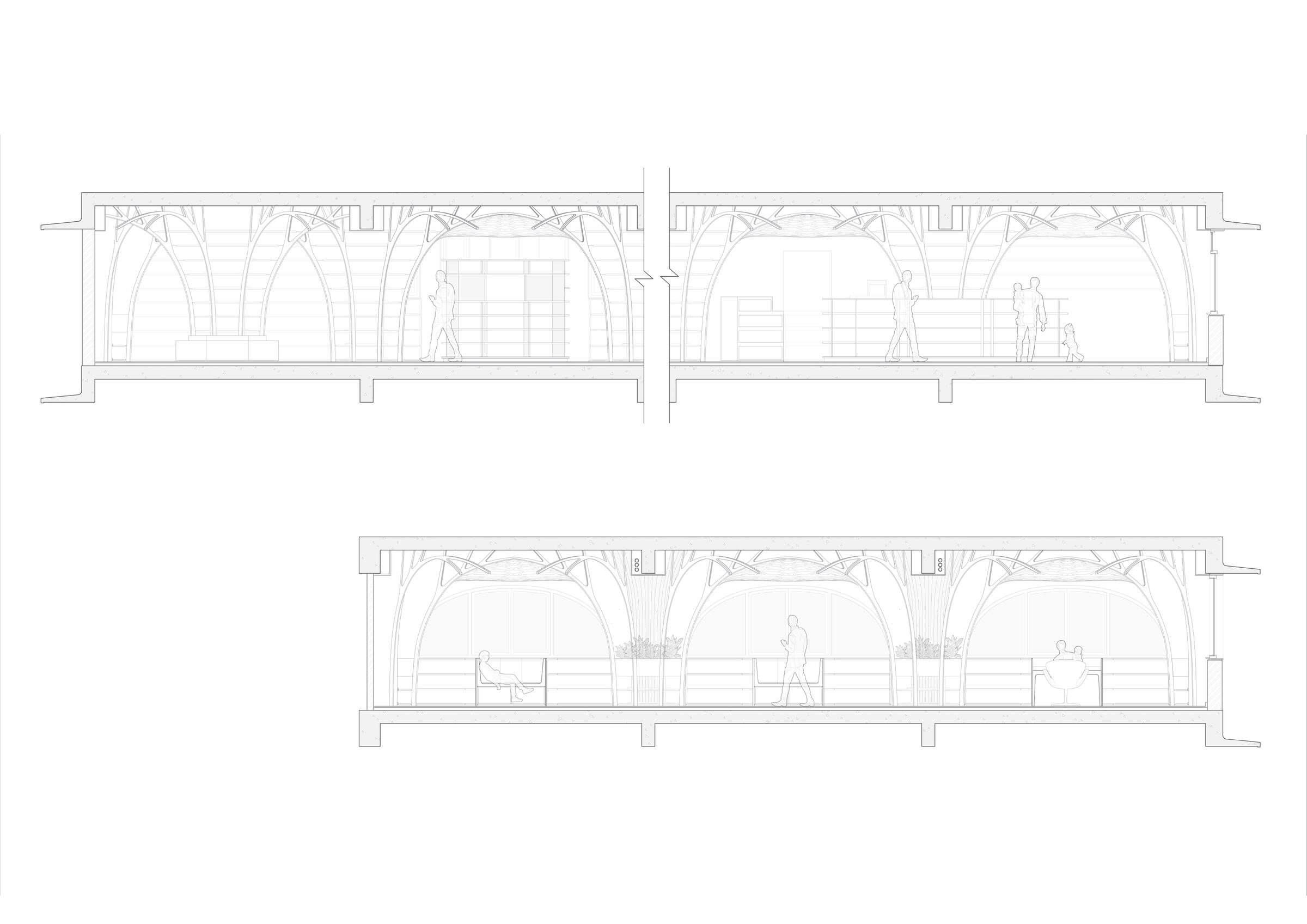 Sections of the Library