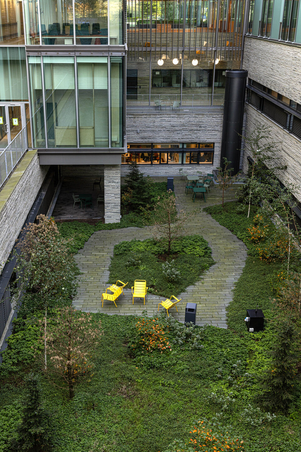Courtyards with local vegetation