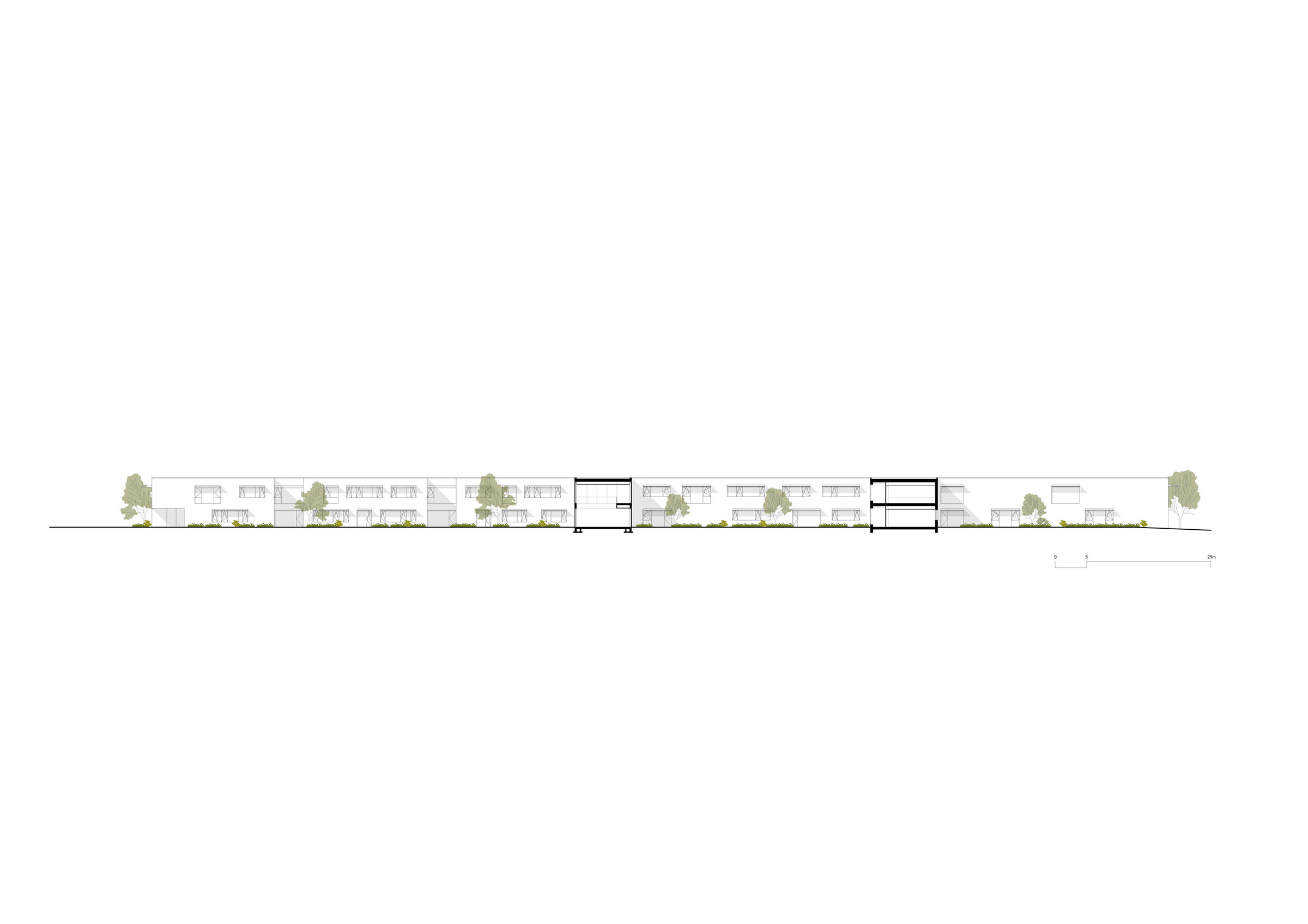 Section