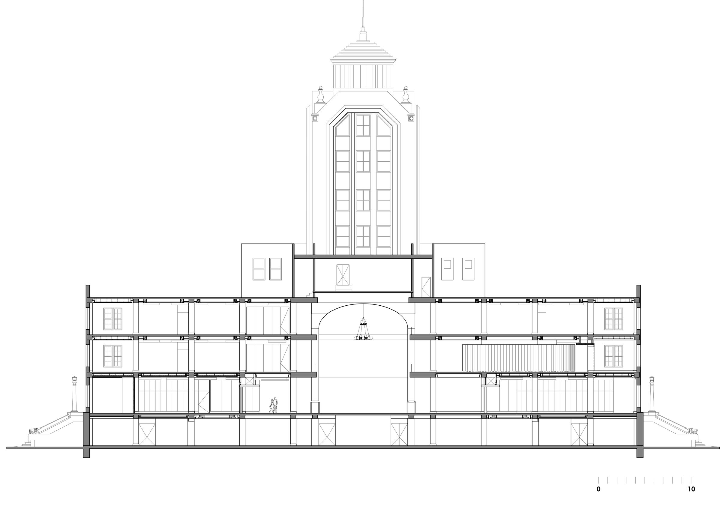 Longitudinal Section