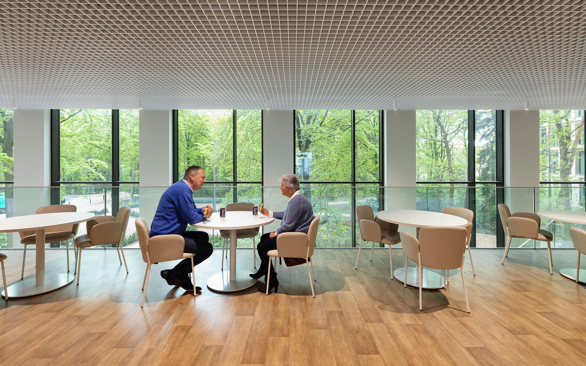 Restaurant with panoramic view of the wooded area