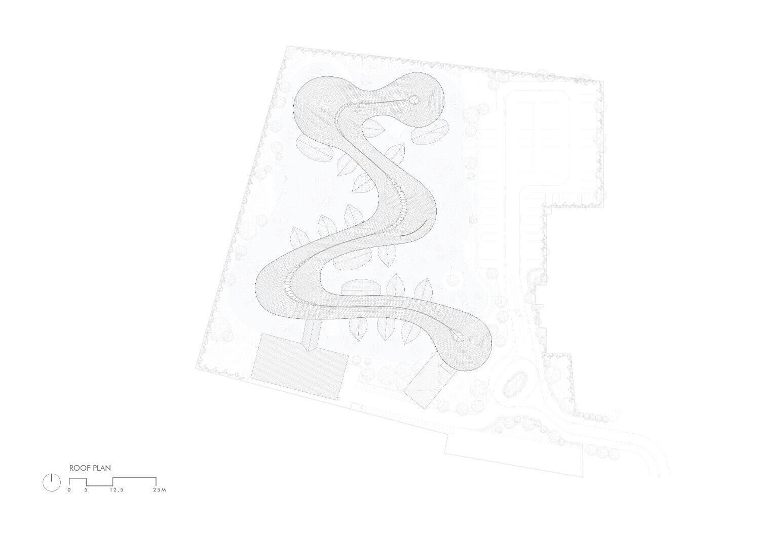 Rooftop Plan