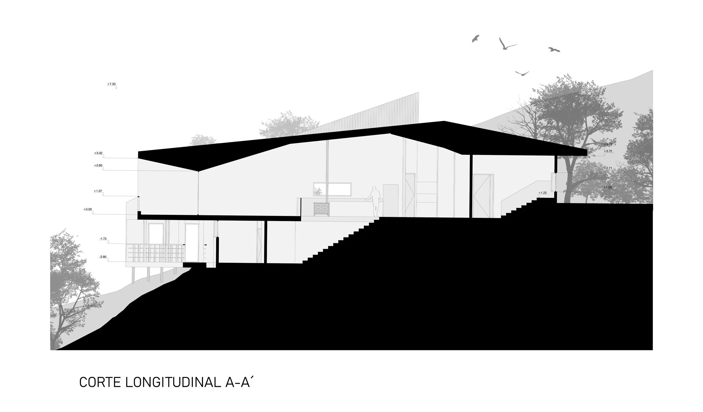 Section A-A'