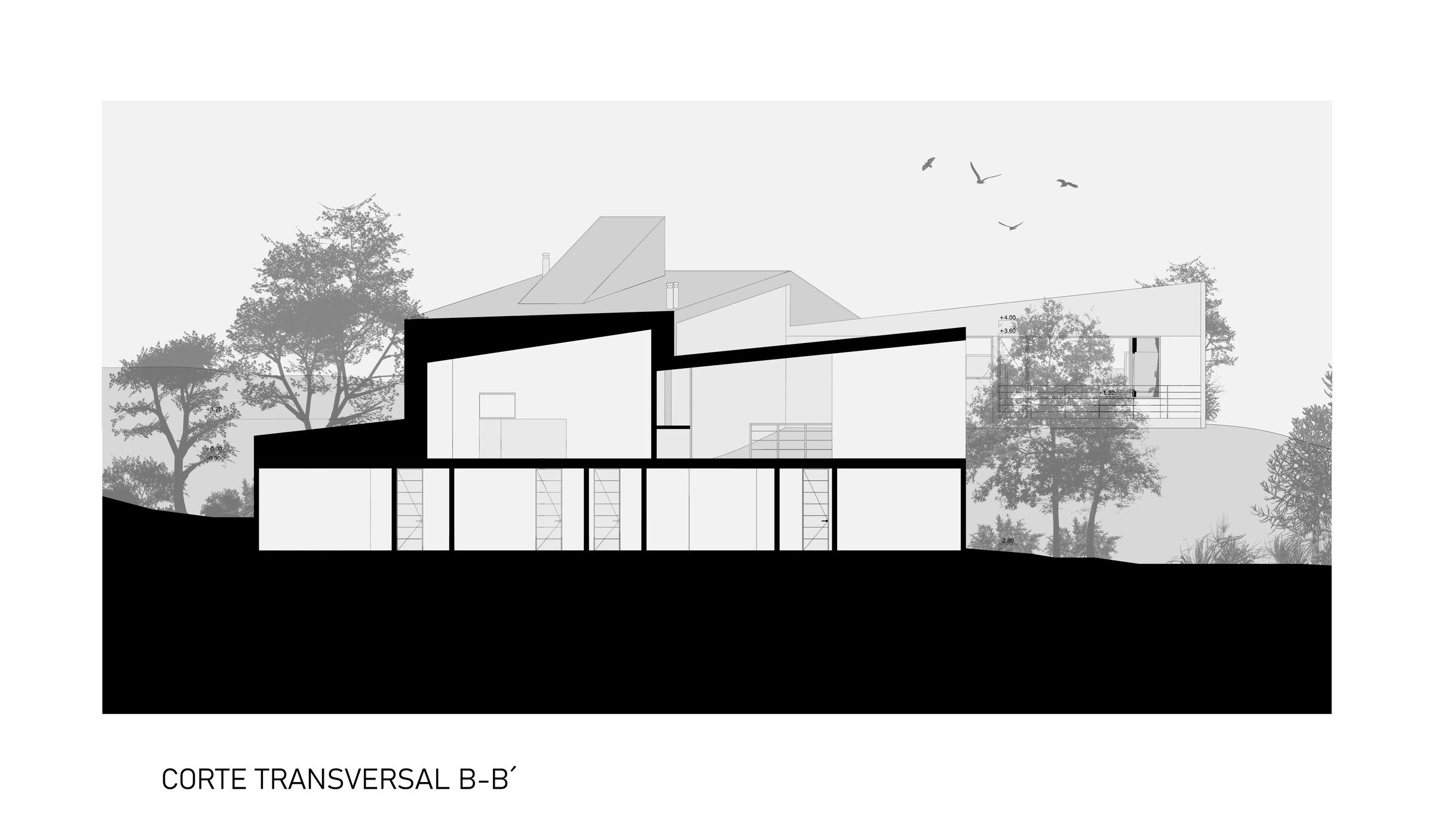 Section B-B'