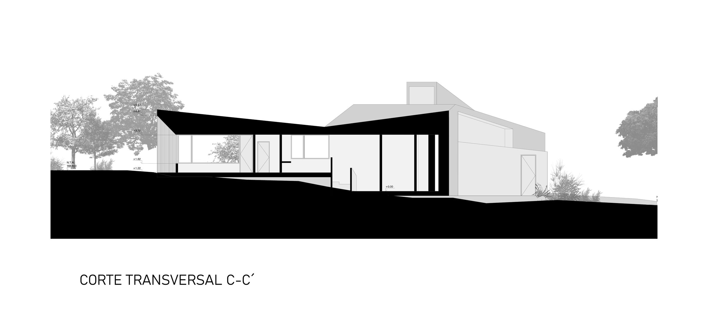 Section C-C'