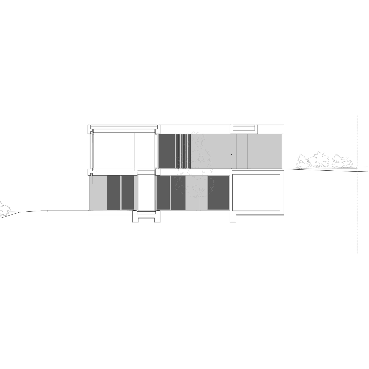 Longitudinal section