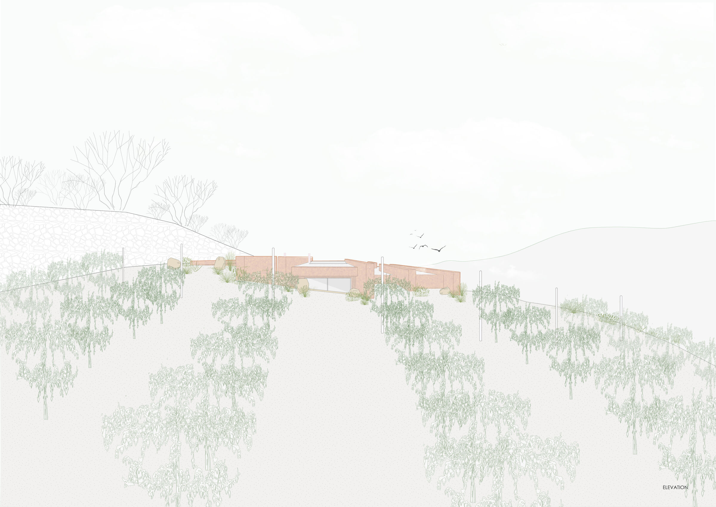Elevation II