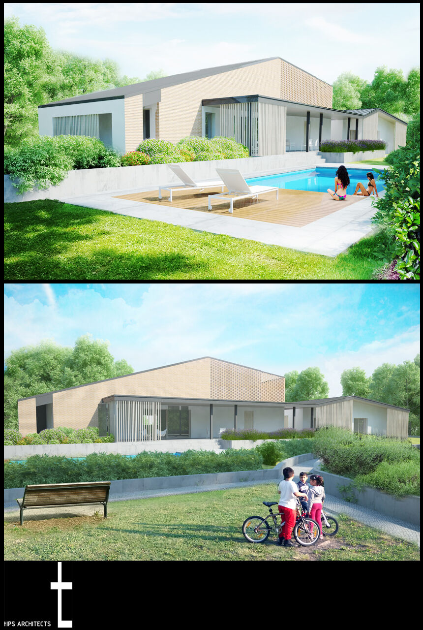 Render View