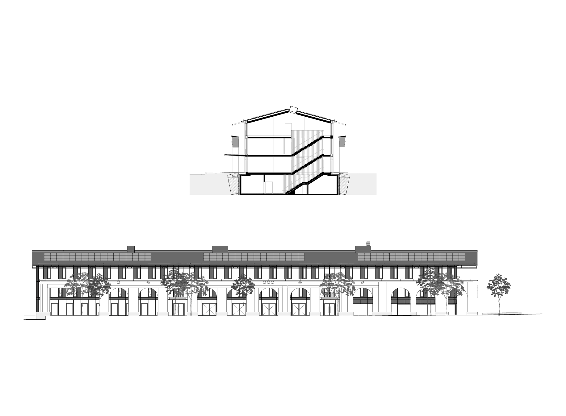 section cut & longitudinal view