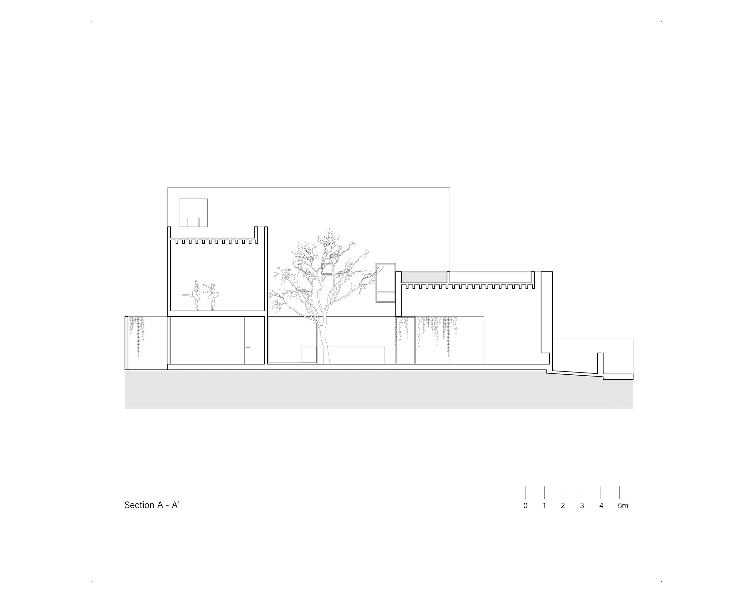 Section A-A'