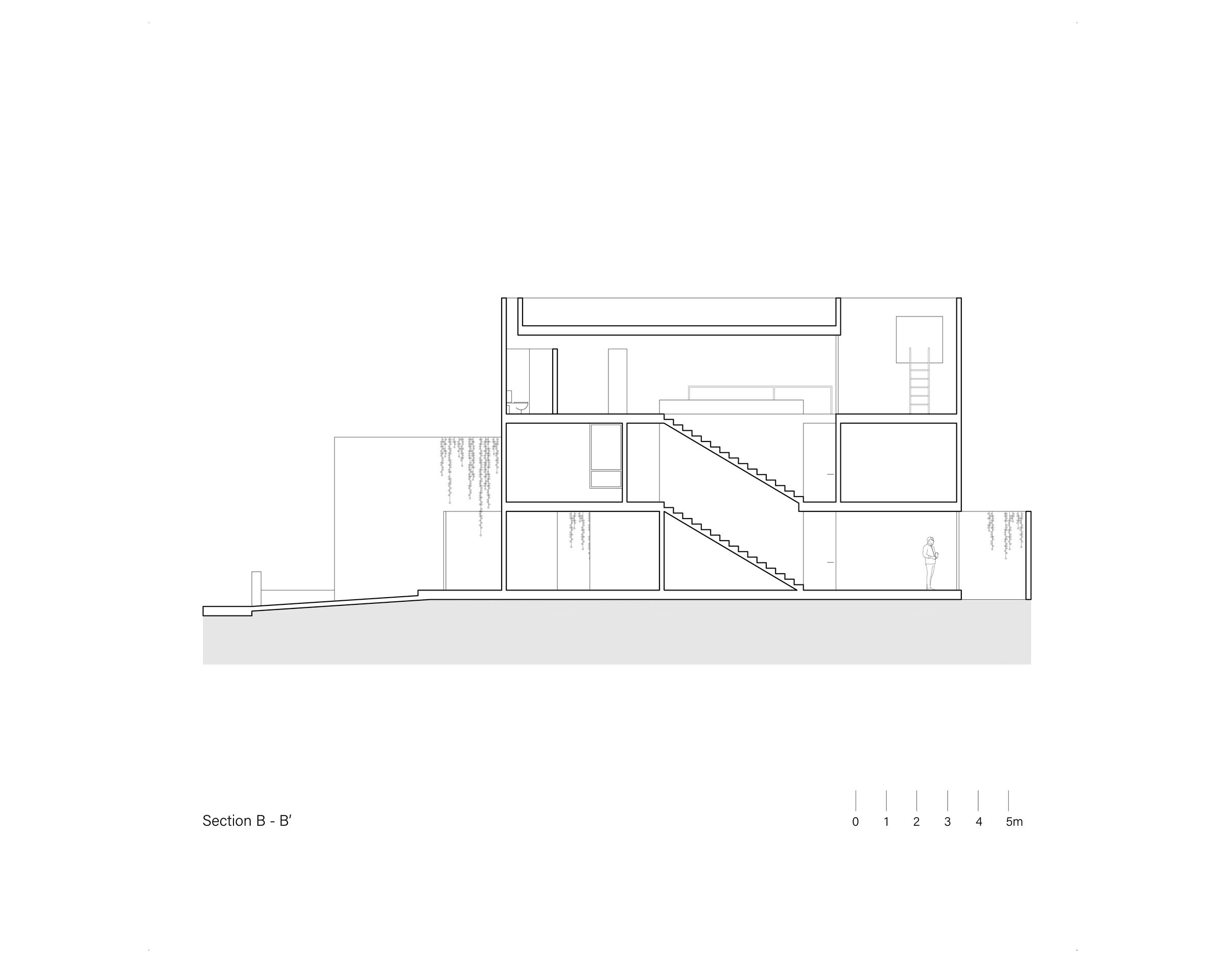 Section B-B'