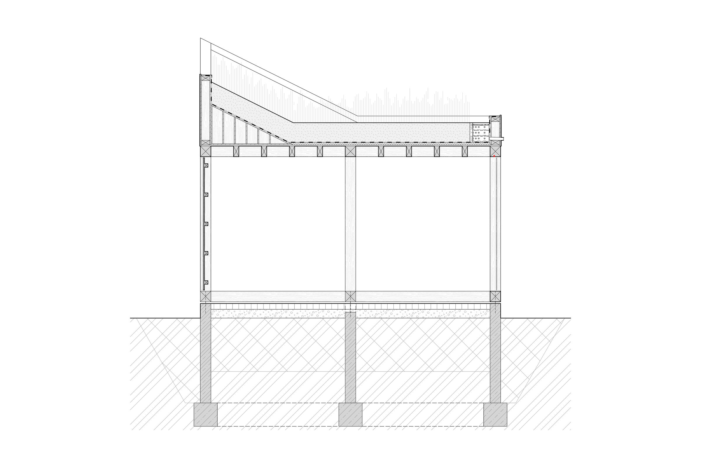 section