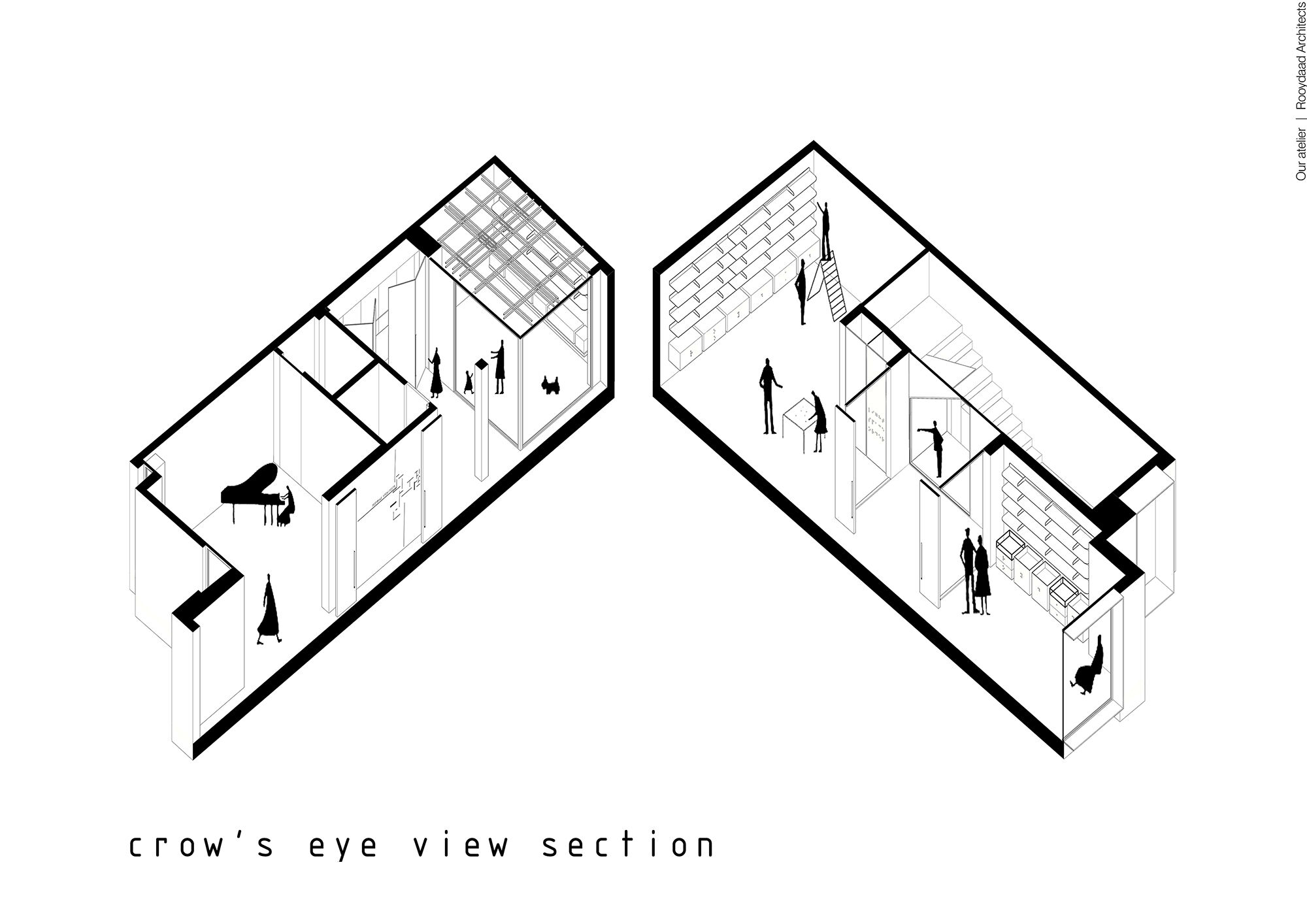 Perspective Section