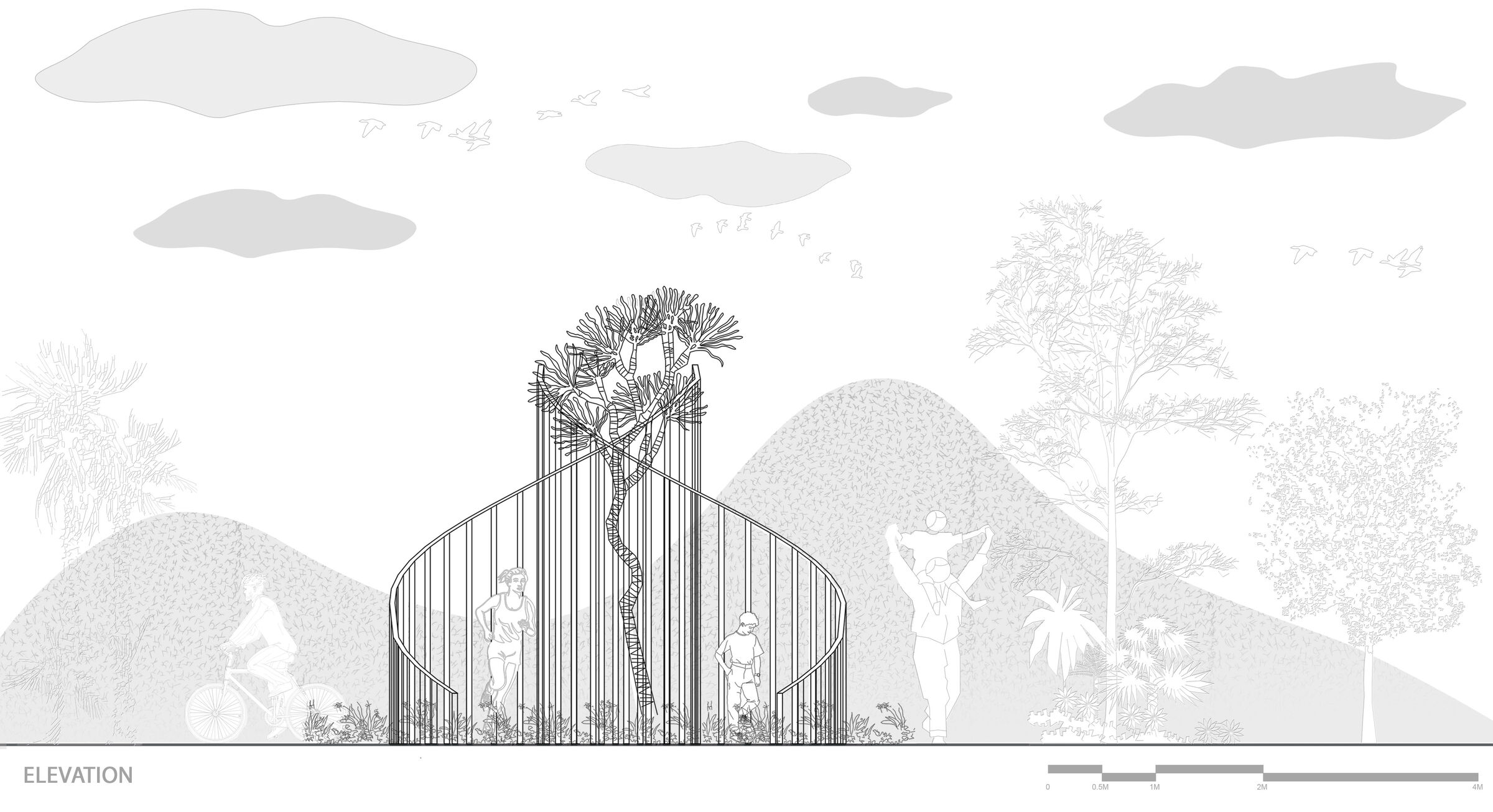 Elevation