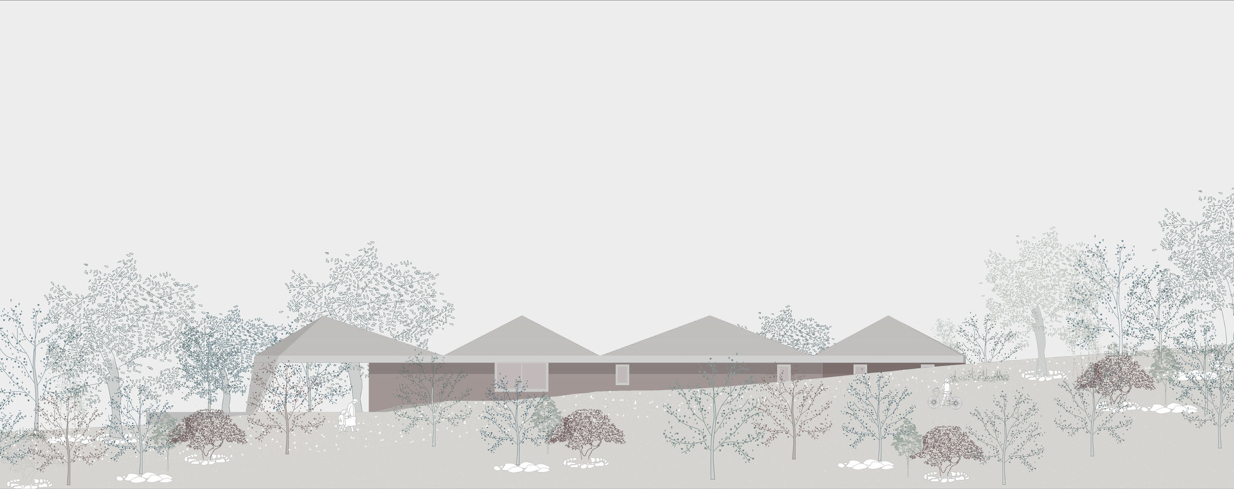 Elevation