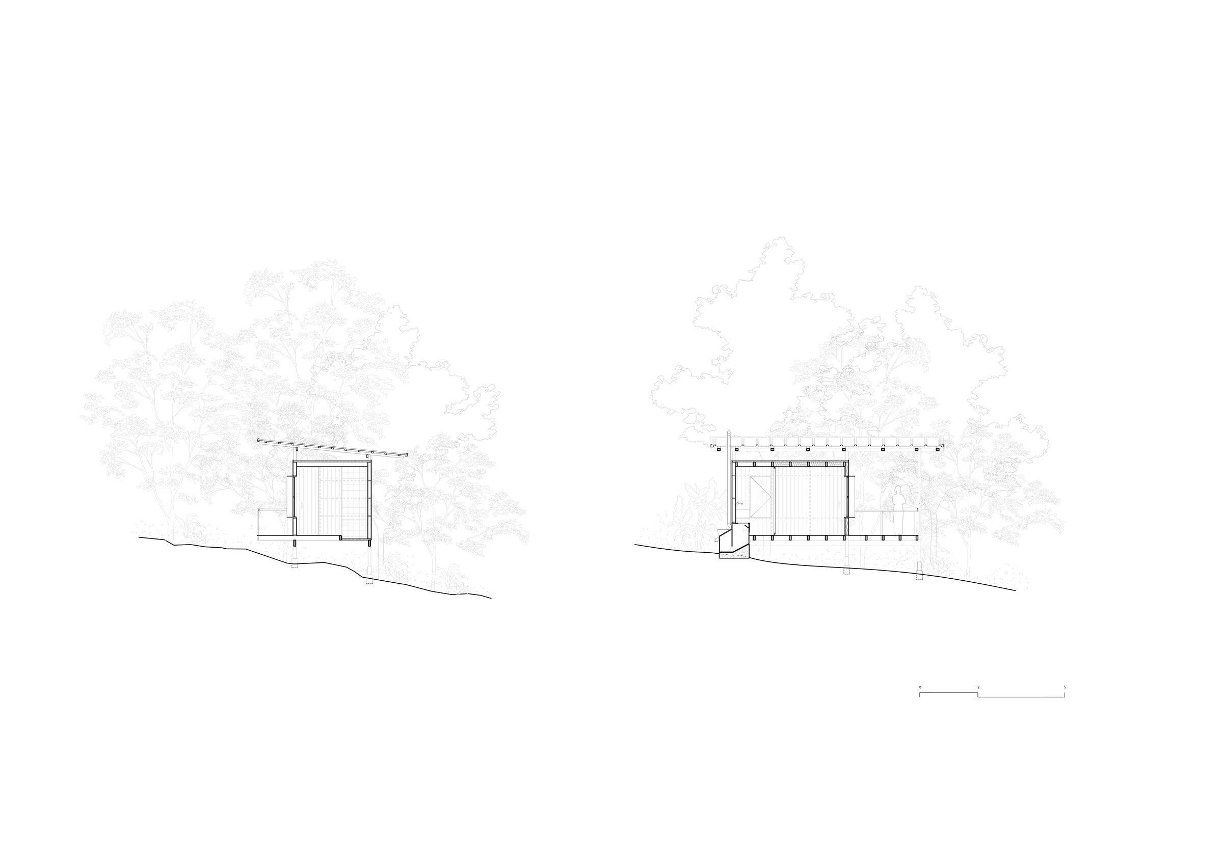Section