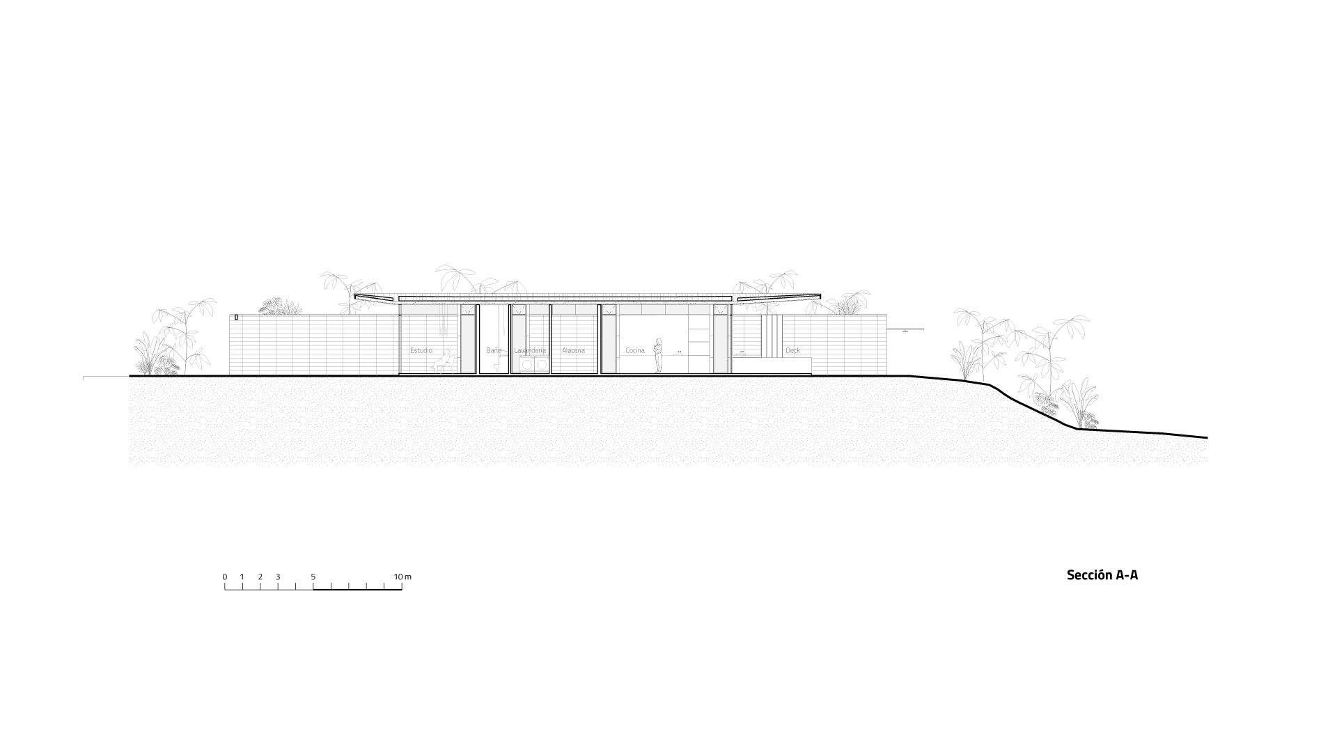 Longitudinal section