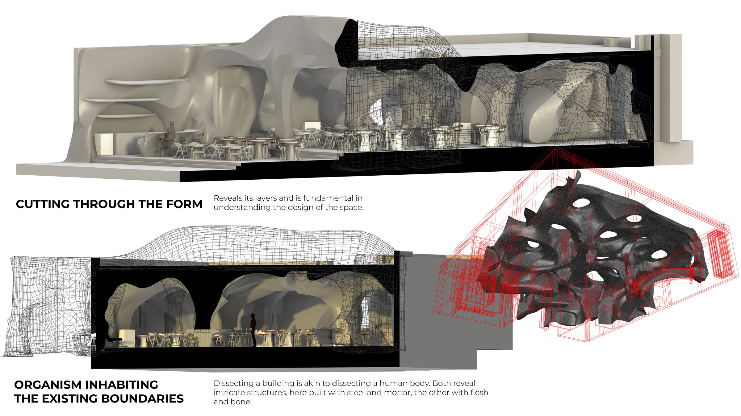 3D Sections