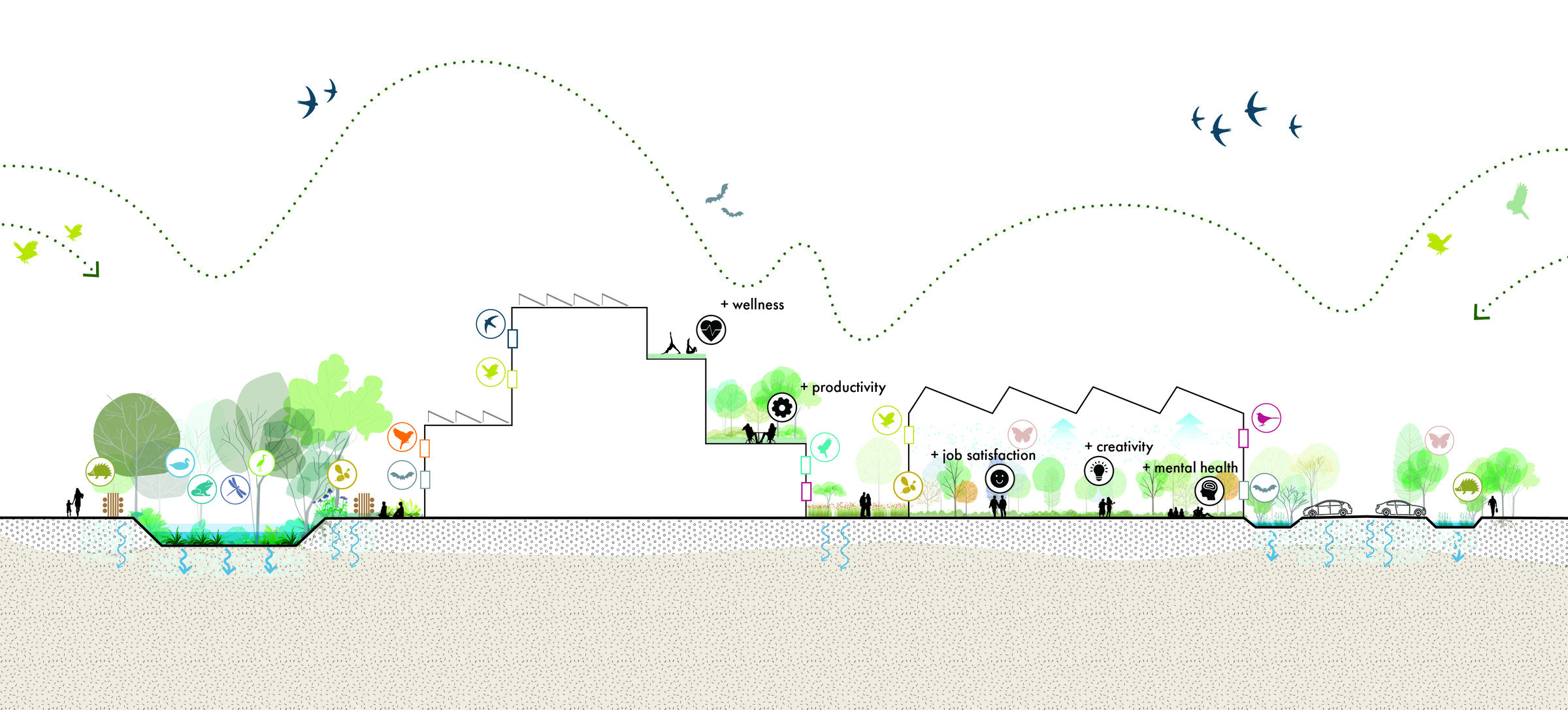 Biodiversity diagram