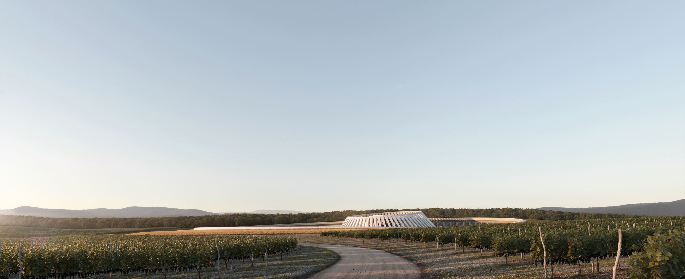 Winery concept by RYMAR.STUDIO architects