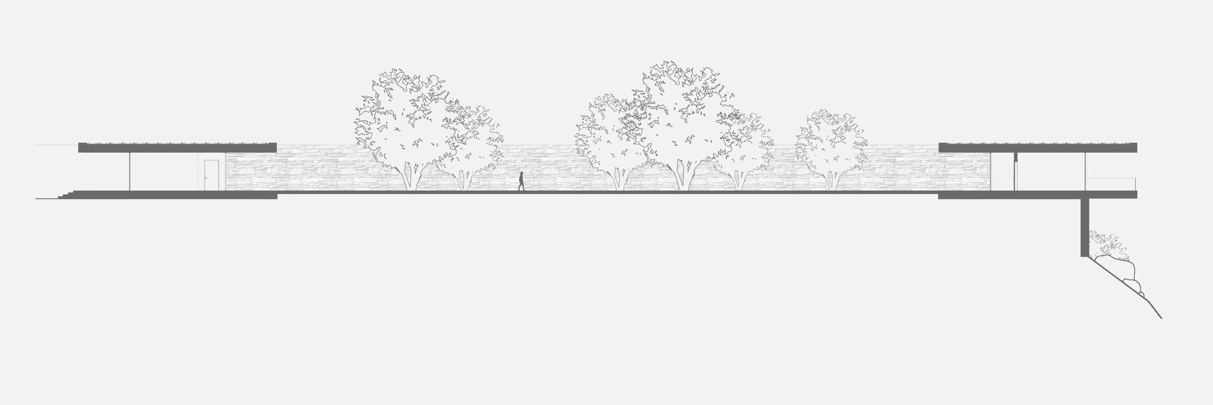 Schematic section