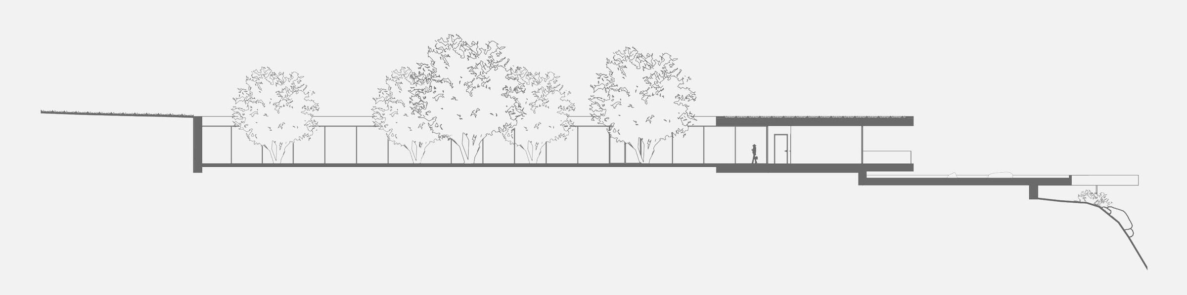 Schematic section