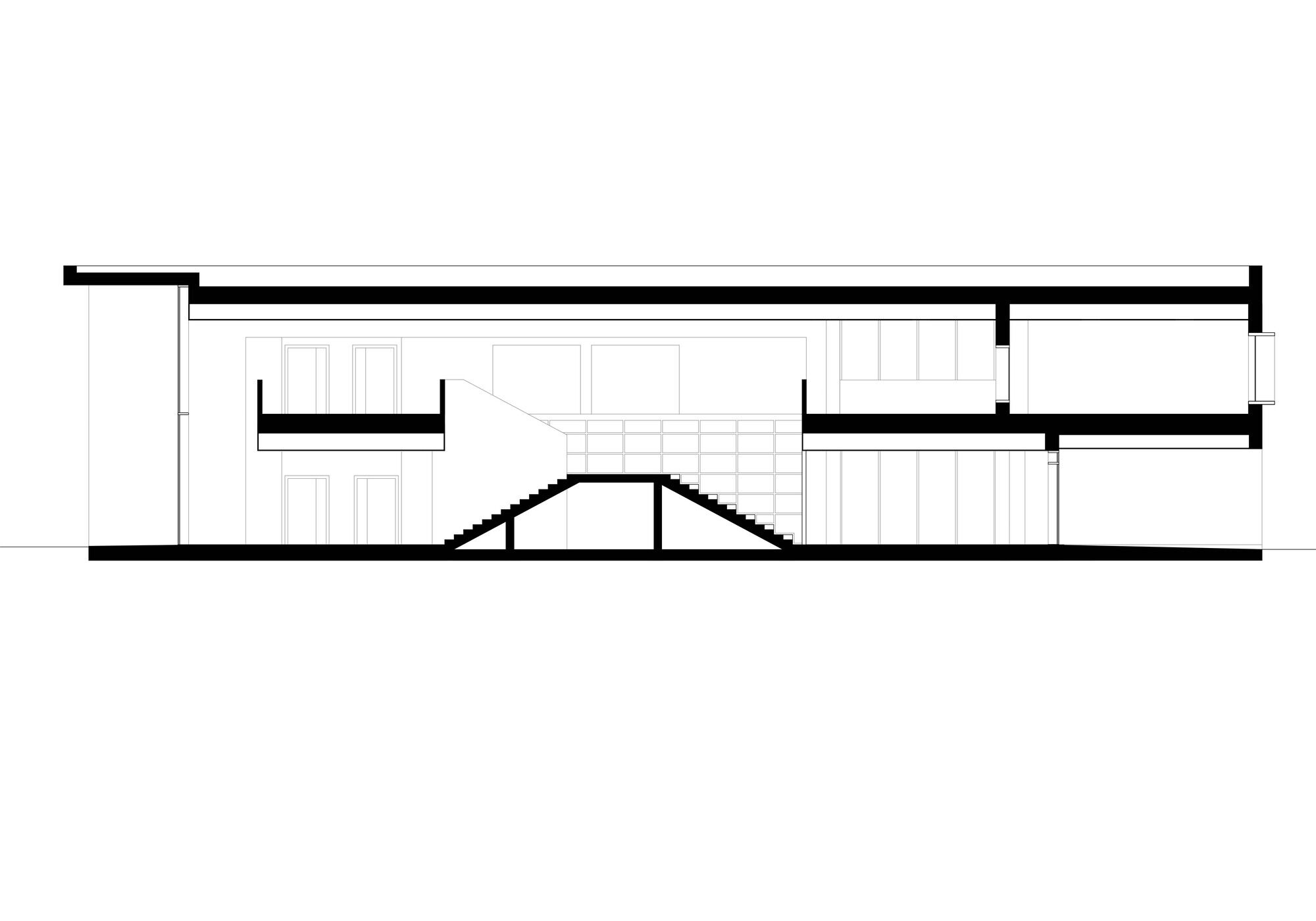 longitudinal section