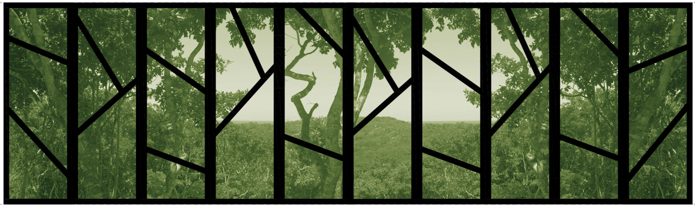 Tree-Branch windowframe