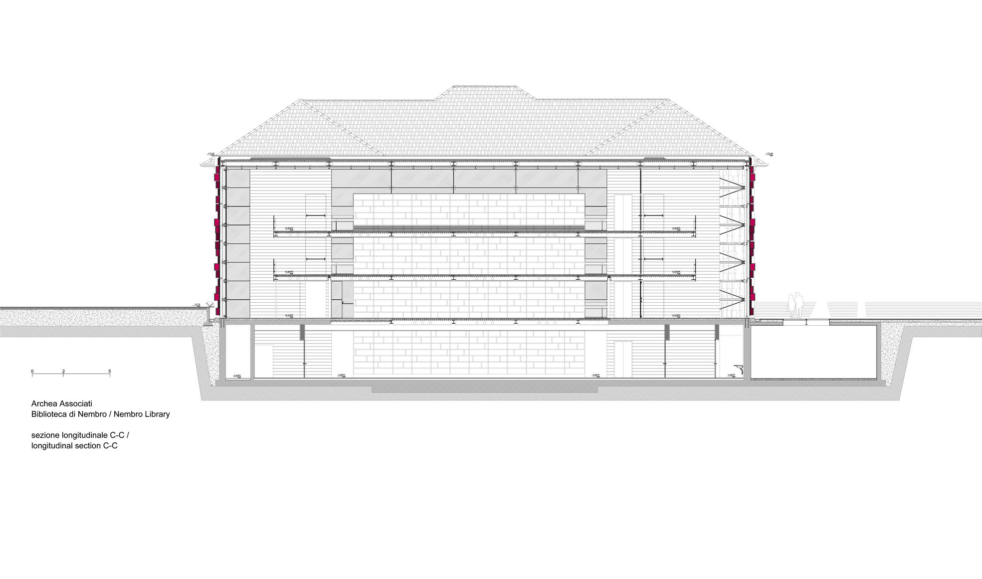 Longitudinal Section