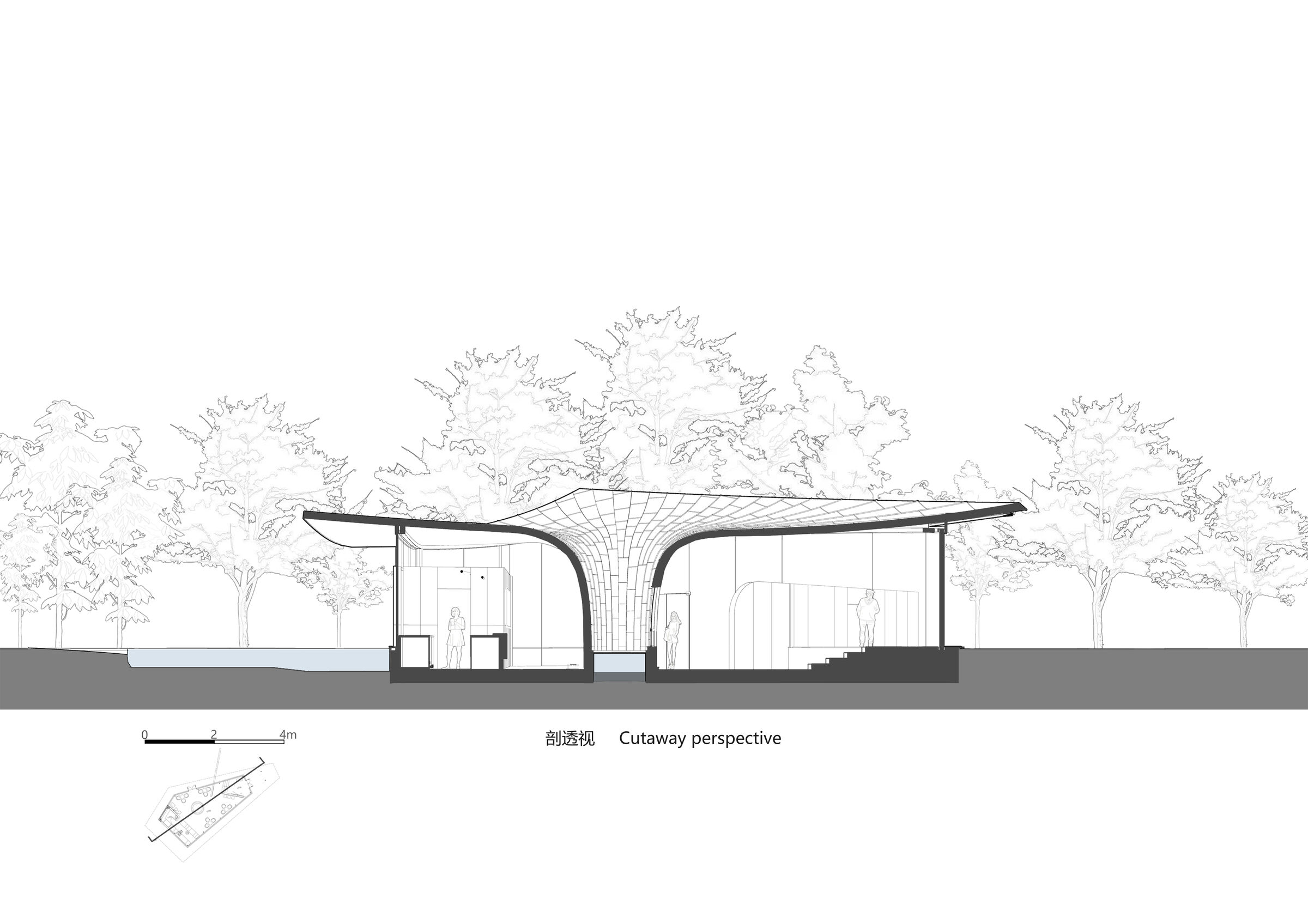 Section Drawing
