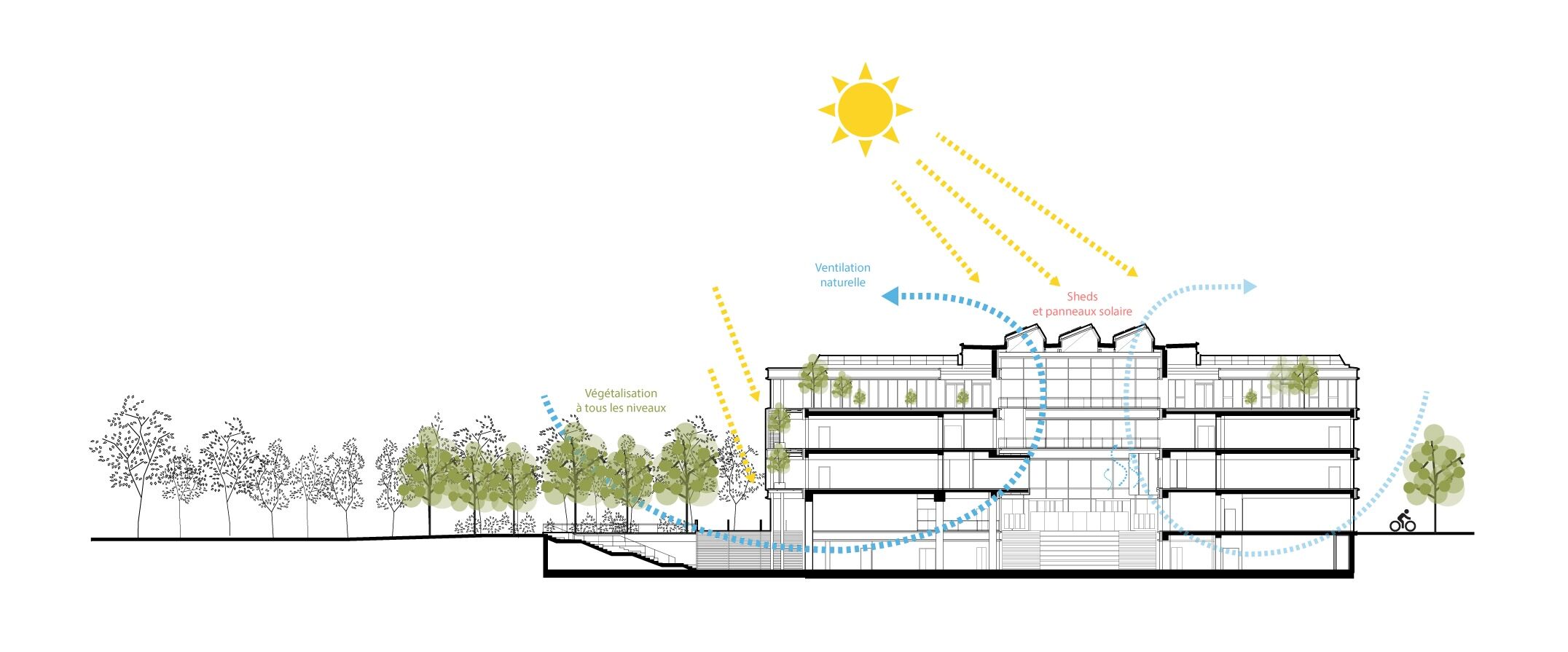 EMLYON — METABOLISM