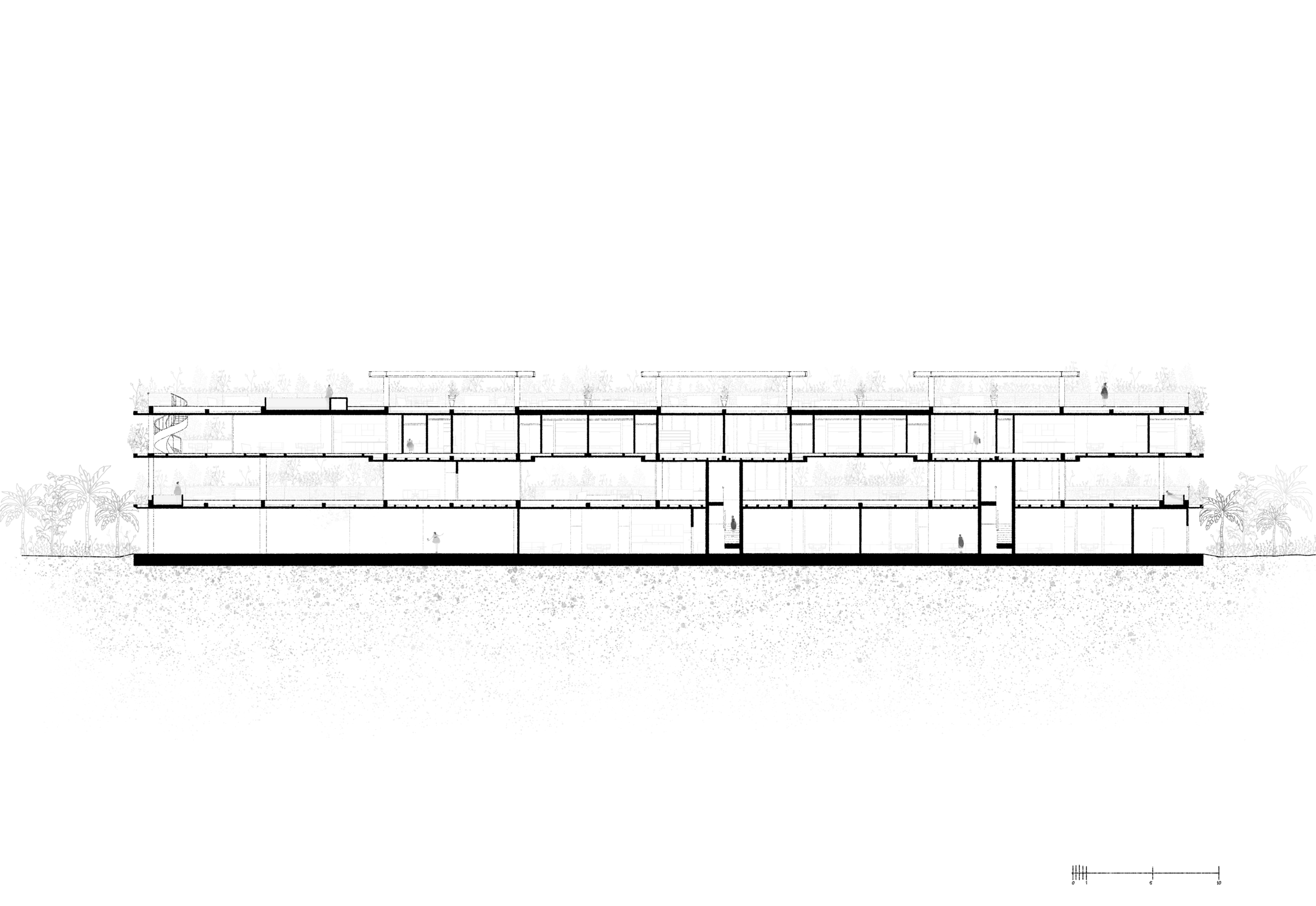 Section